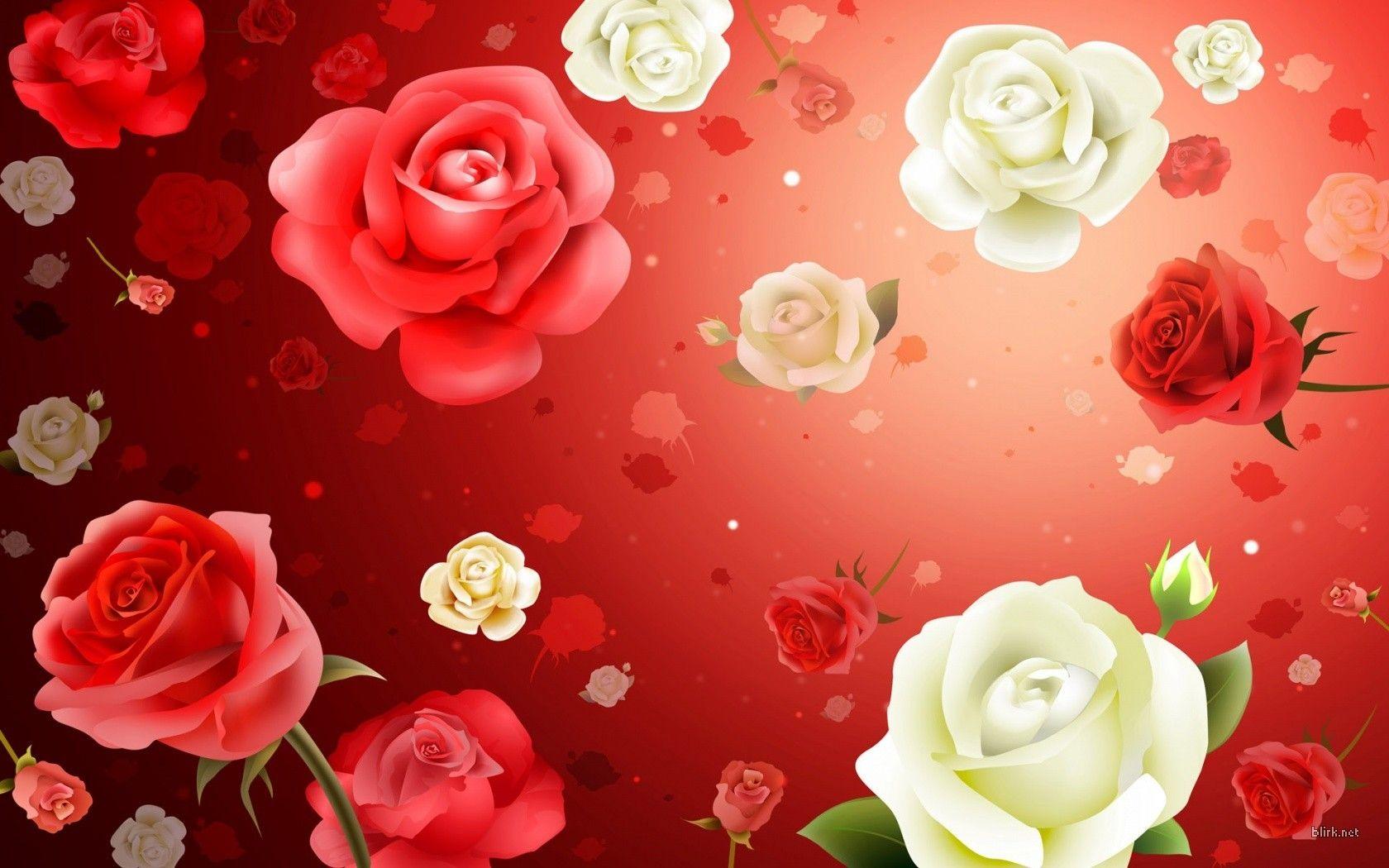 Wallpapers Of Red White Roses Wallpaper Cave