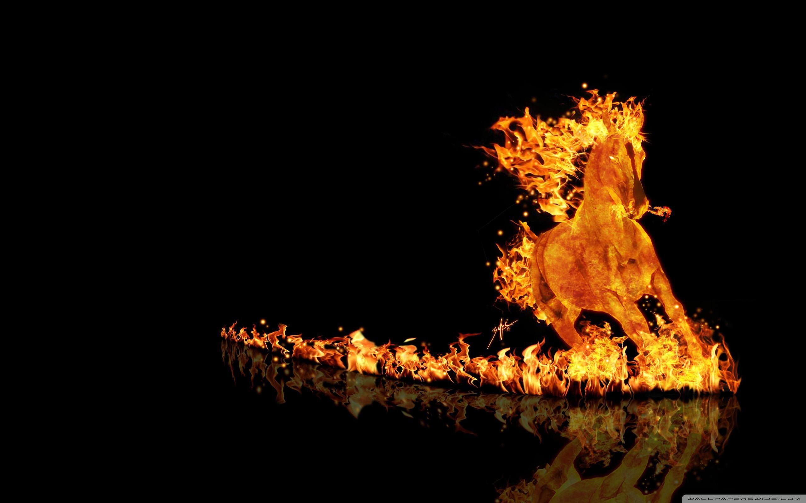 Fire Horse Wallpapers HD Wallpaper Cave