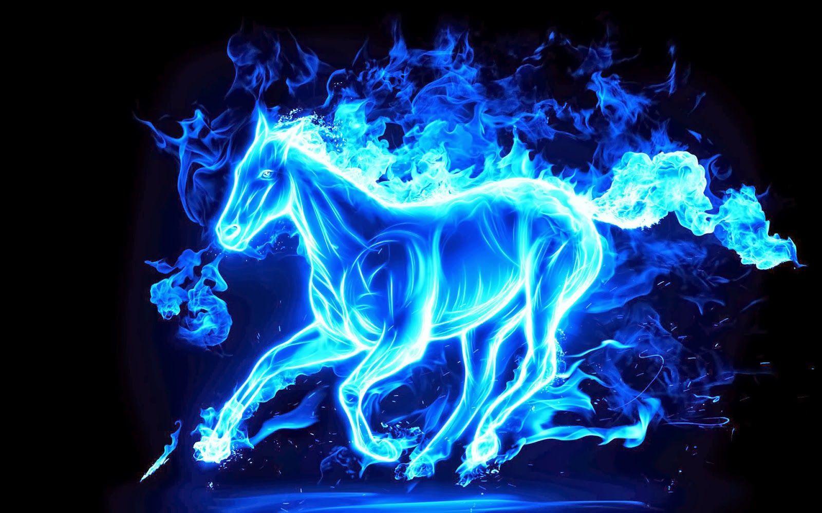 Fire Horse Wallpapers HD Wallpaper Cave