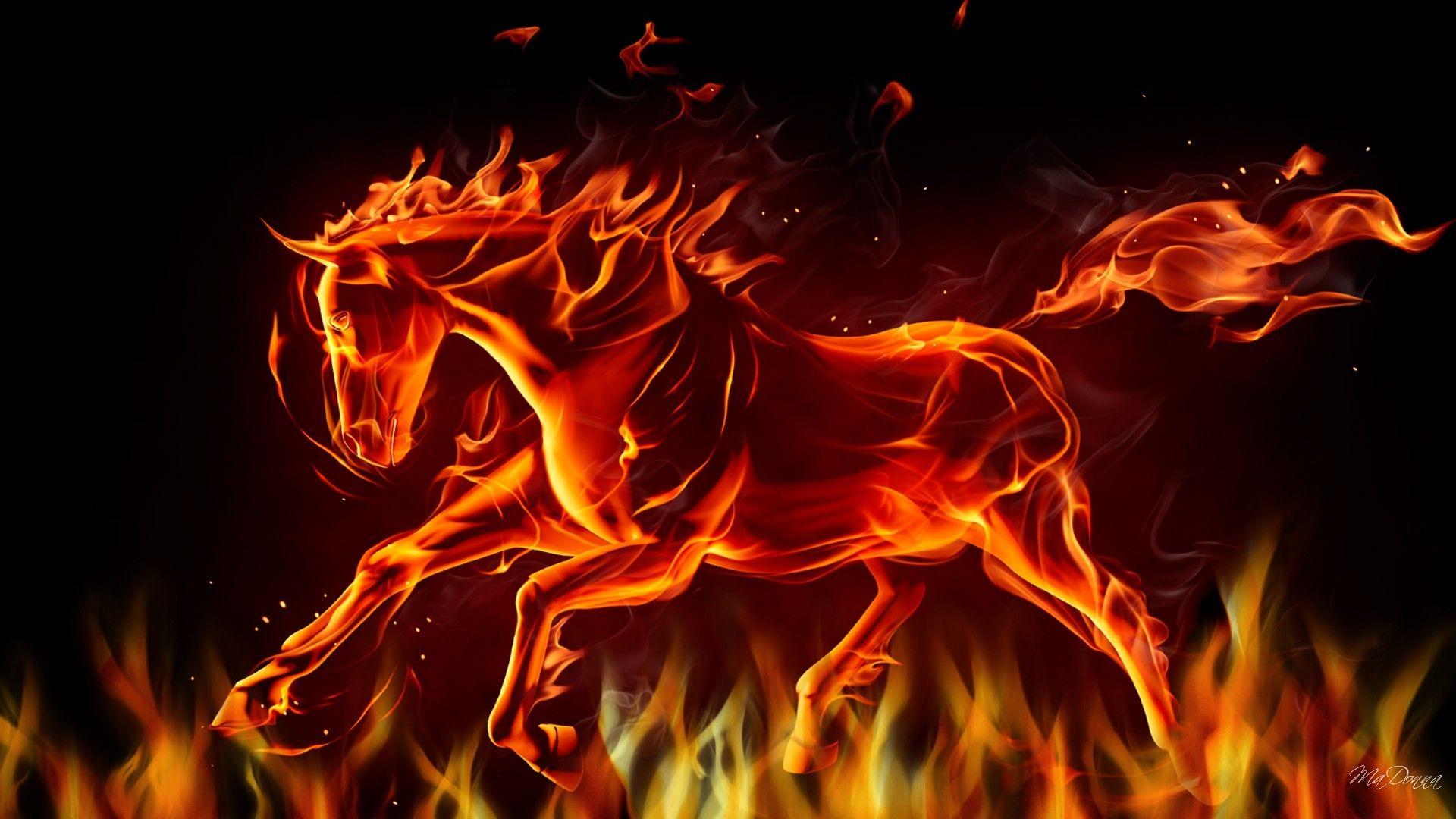 Fire Horse Wallpapers HD Wallpaper Cave