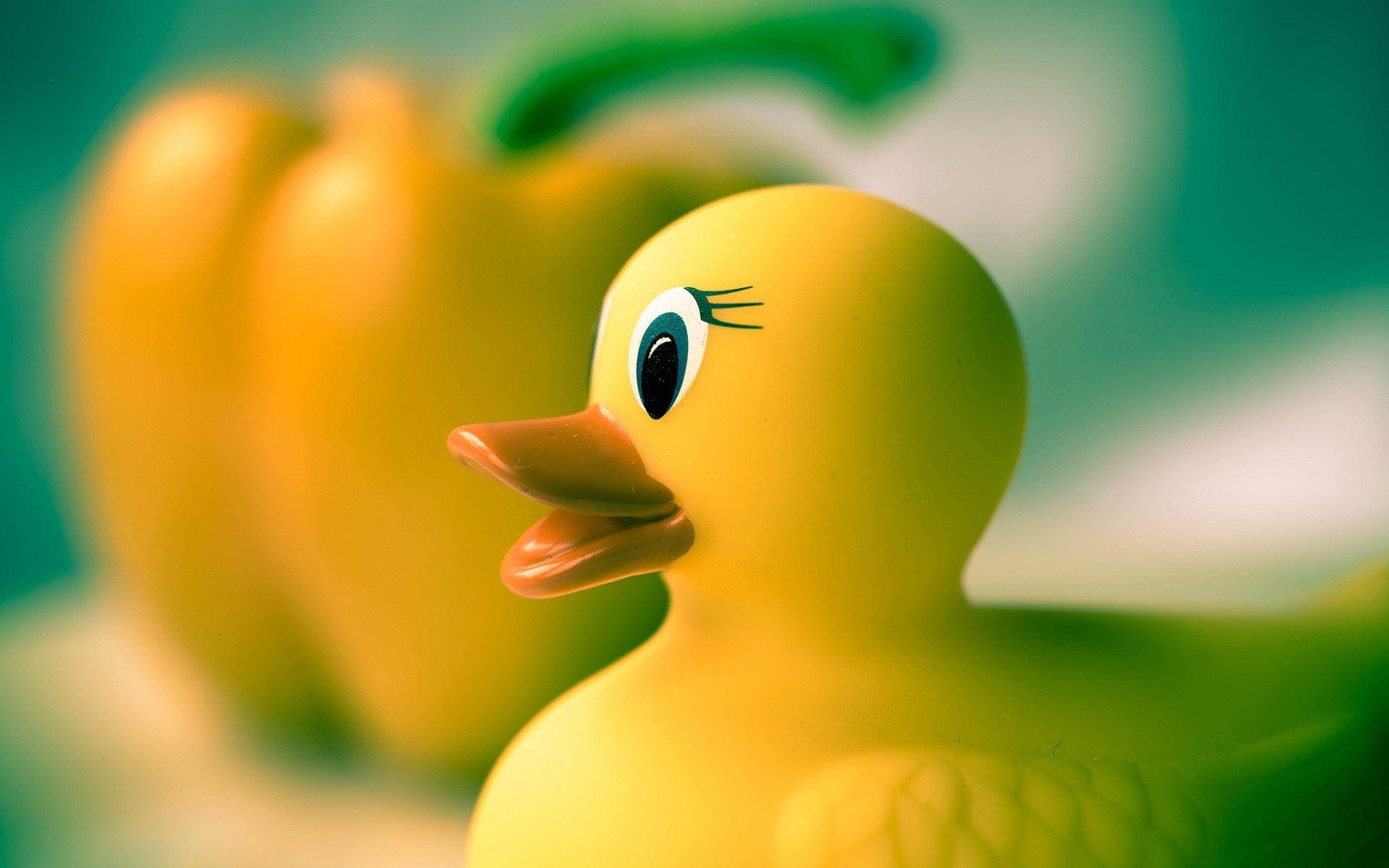 Yellow Duck Wallpapers Wallpaper Cave