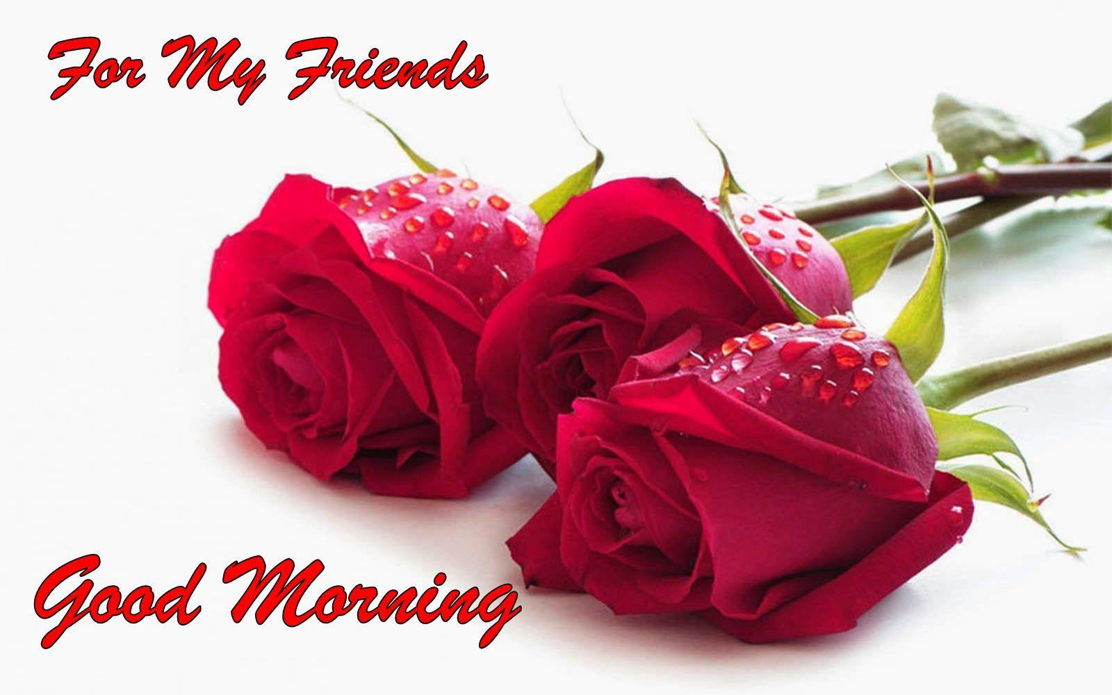 Good Morning Friend Wallpapers Wallpaper Cave
