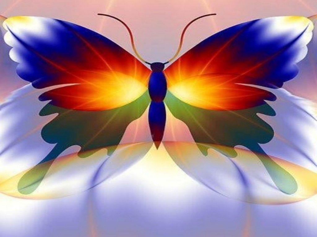 Colorful Butterfly Wallpapers Wallpaper Cave
