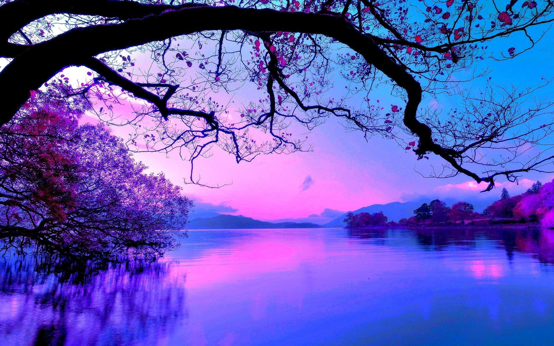 Nature HD Wallpapers Purple Sky Wallpaper Cave