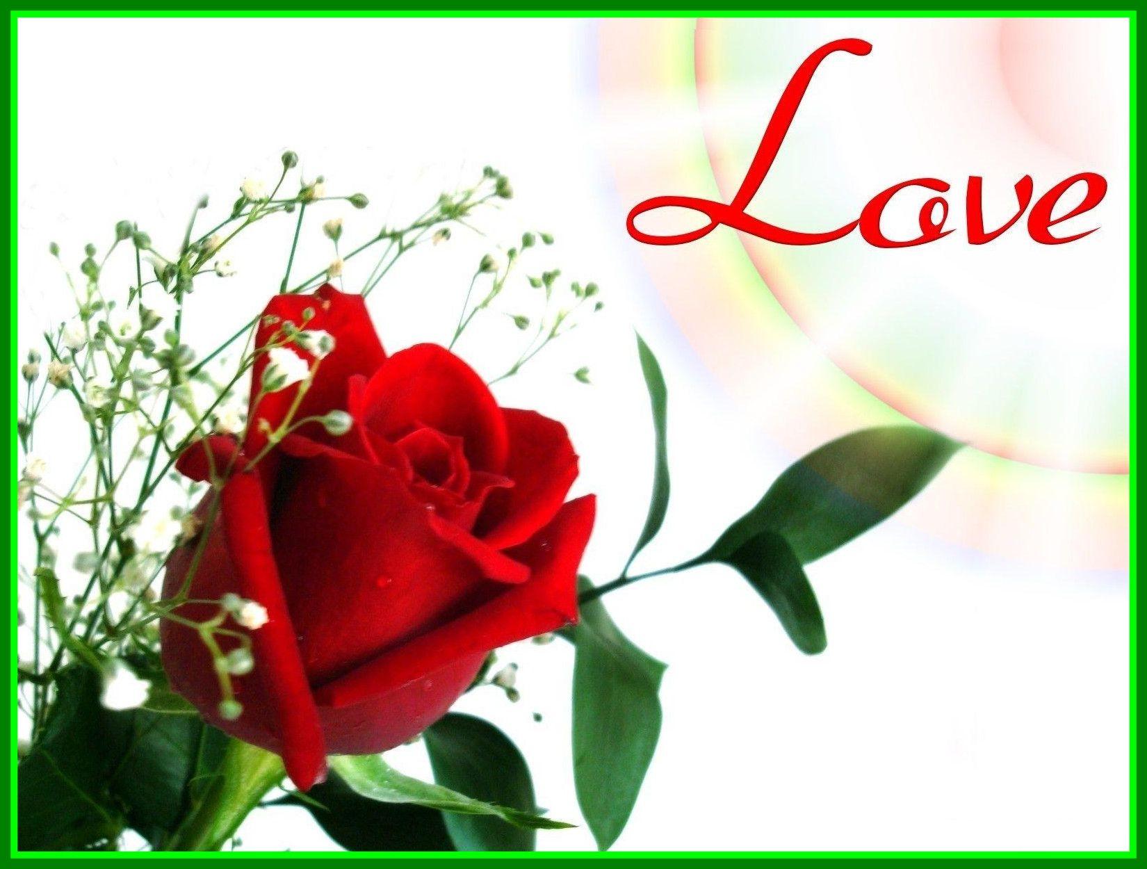 Beautiful Love Flower Hd Picture Best Flower Site