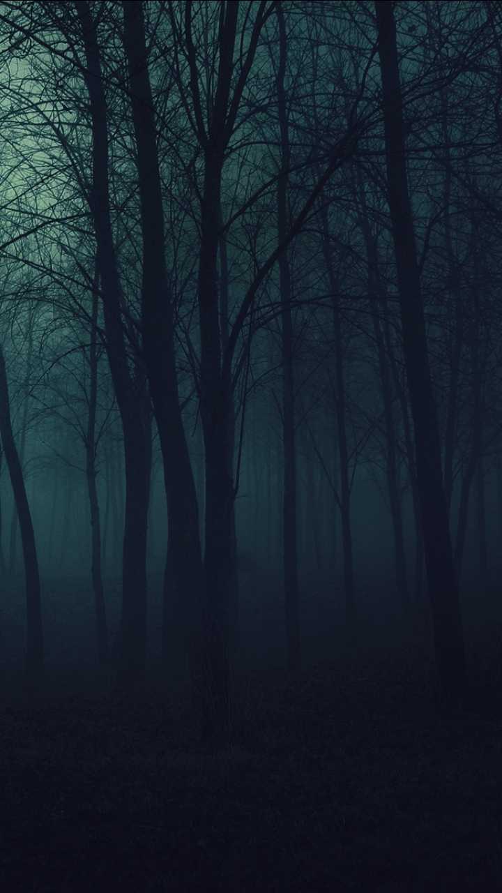 Dark Nature Wallpaper Hd For Mobile