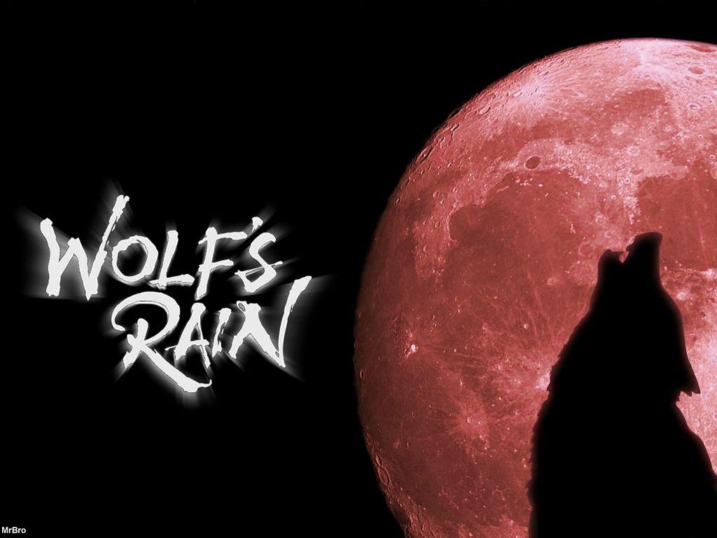 Wolf Howling At The Red Moon Wallpapers Wallpaper Cave