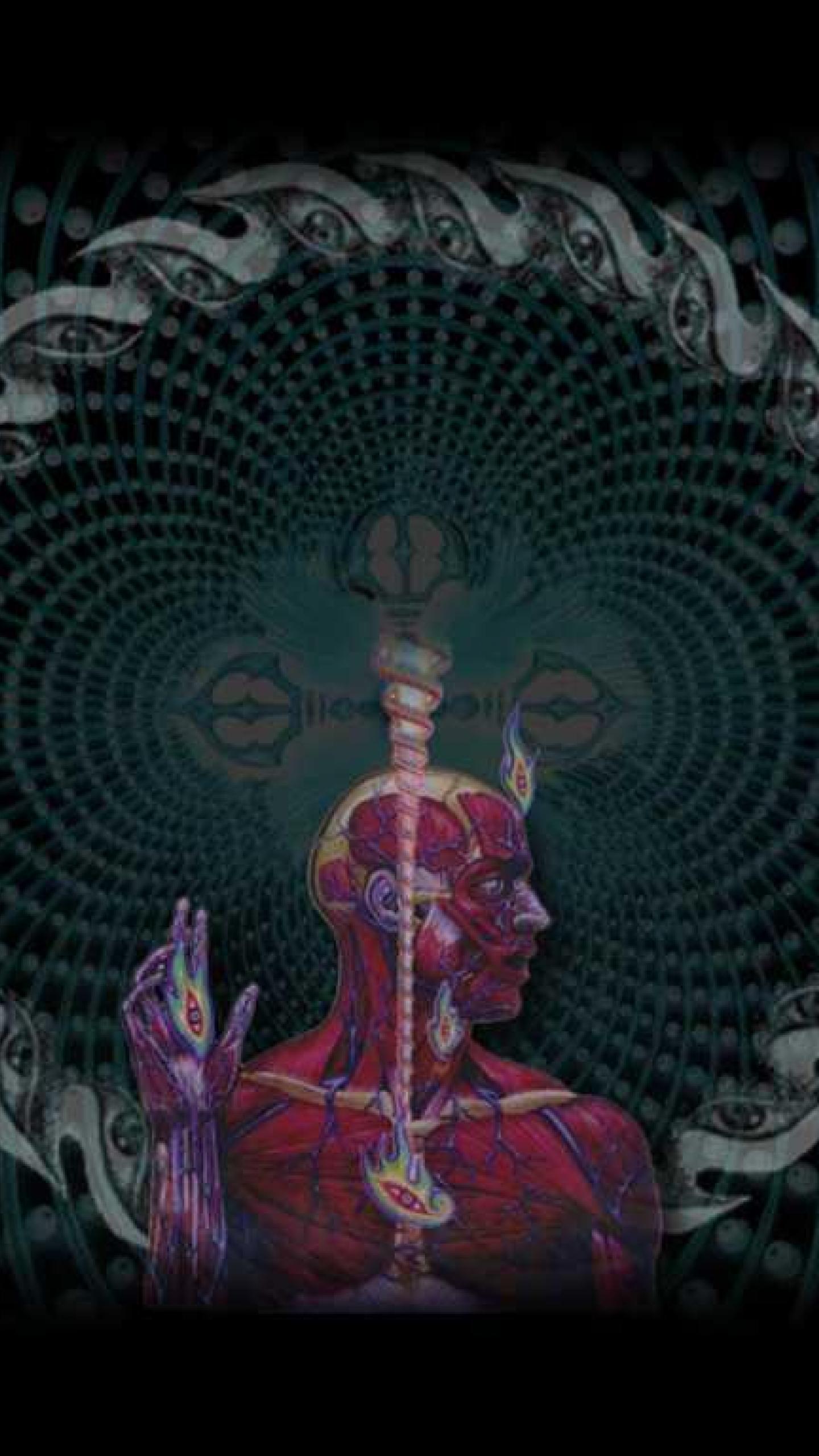 Tool Band Mobile Wallpapers Wallpaper Cave