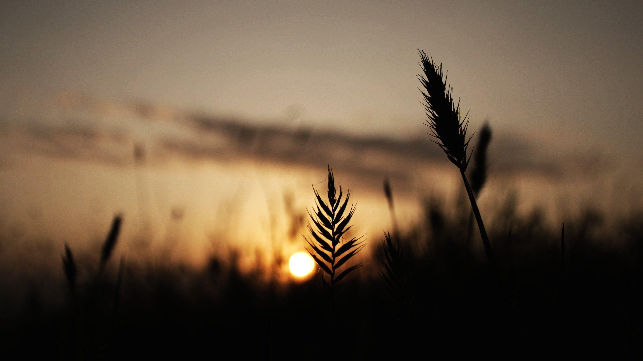 Twitter Wallpapers Nature Wallpaper Cave