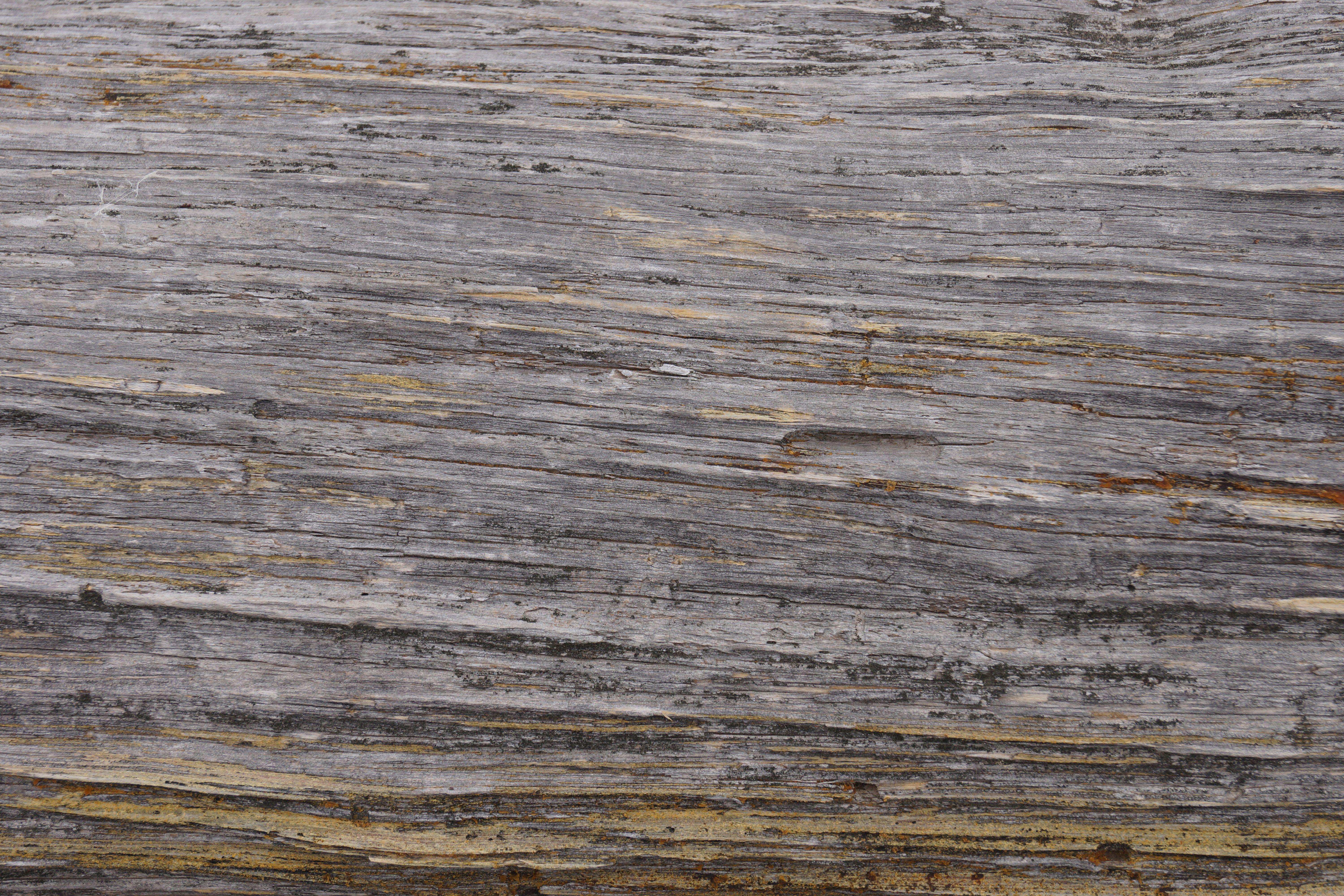 Wood Grain Backgrounds Wallpaper Cave