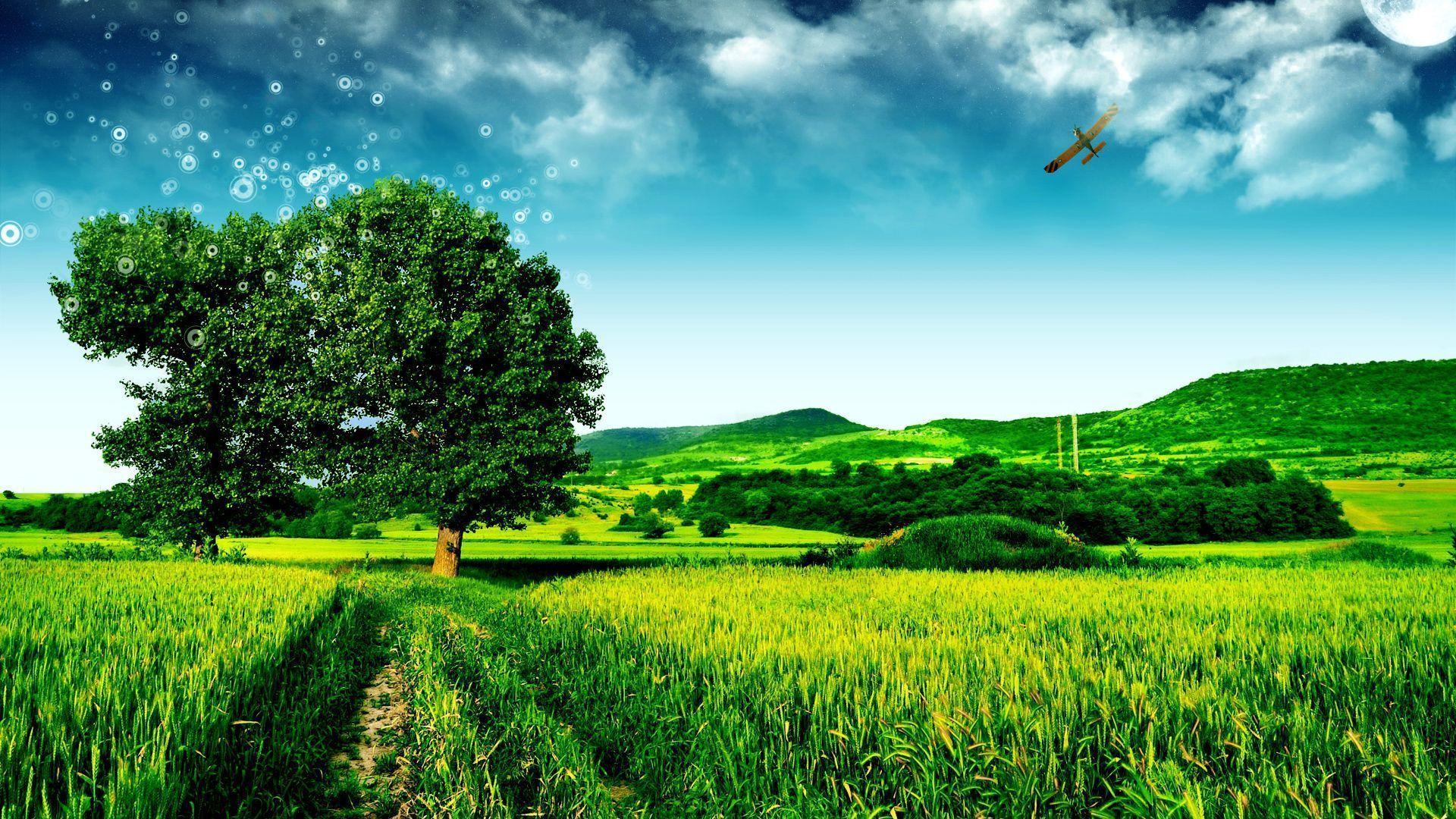 Green Scenery Wallpapers HD Wallpaper Cave