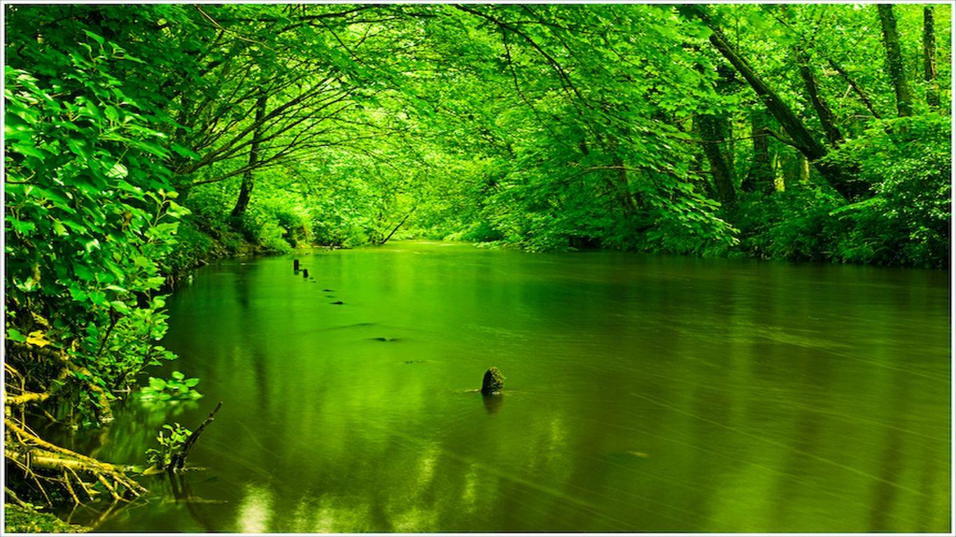 Green Scenery Wallpapers HD Wallpaper Cave