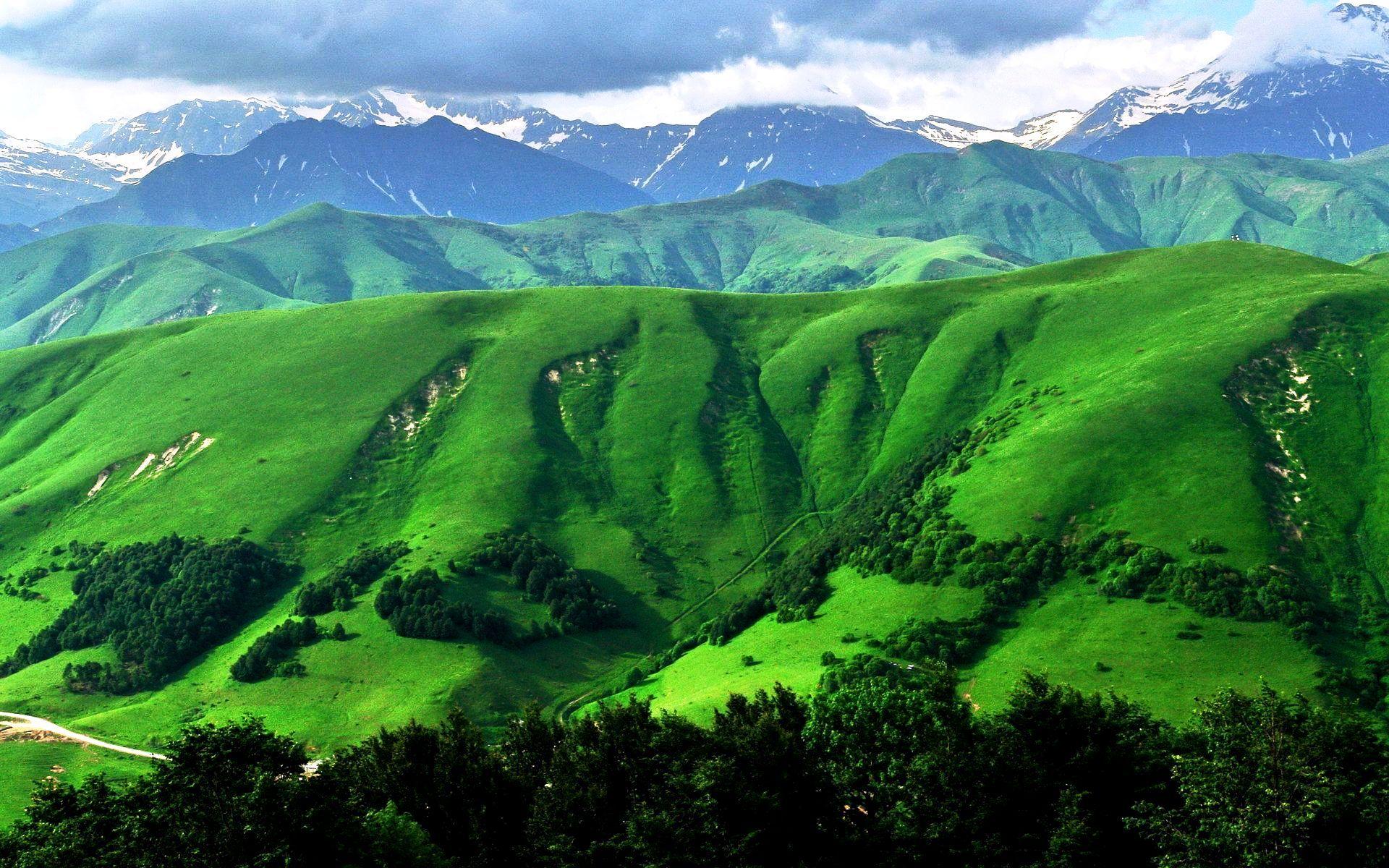 Green Scenery Wallpapers HD Wallpaper Cave