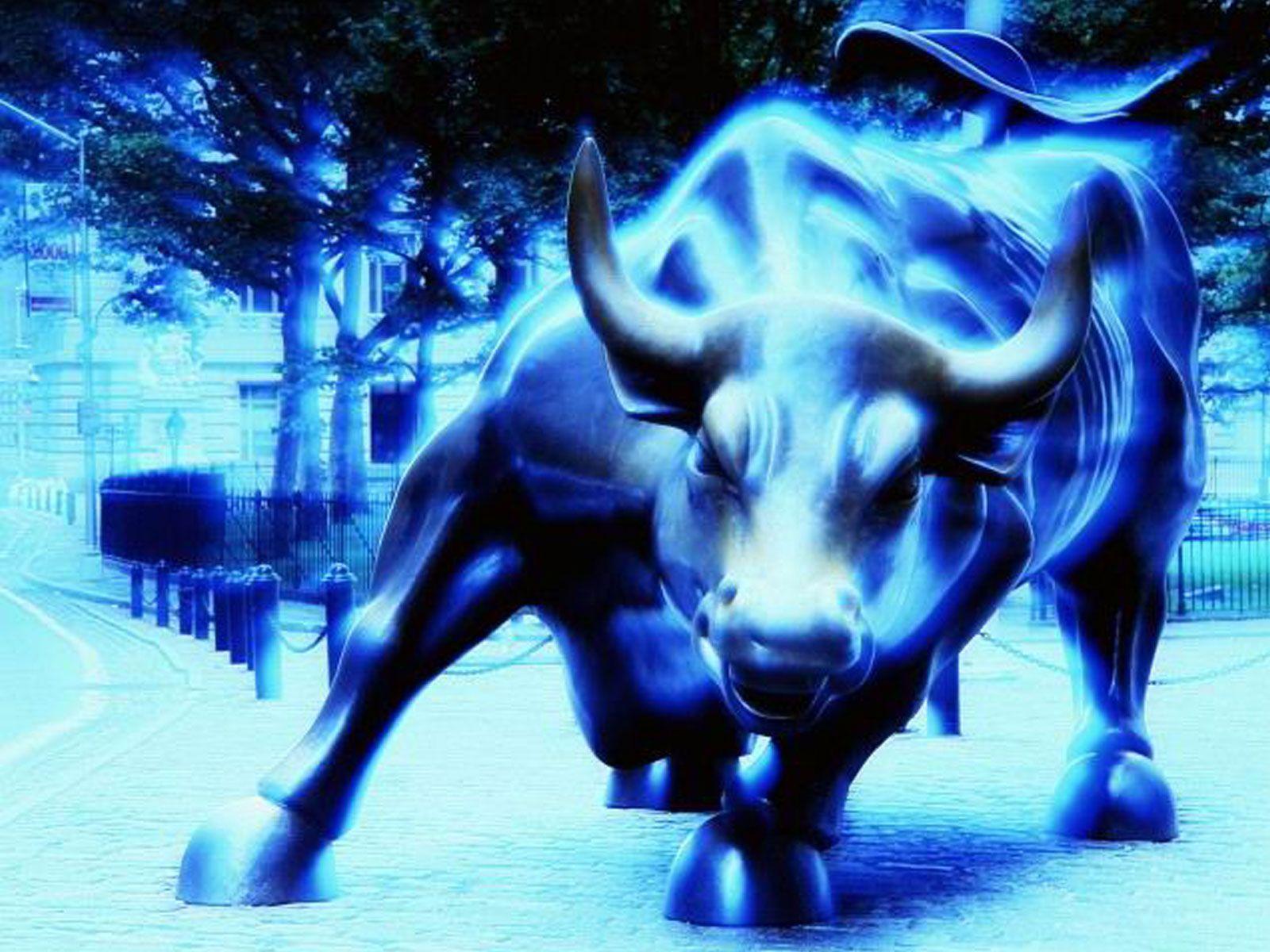 Free Blue Bulls Wallpapers Wallpaper Cave