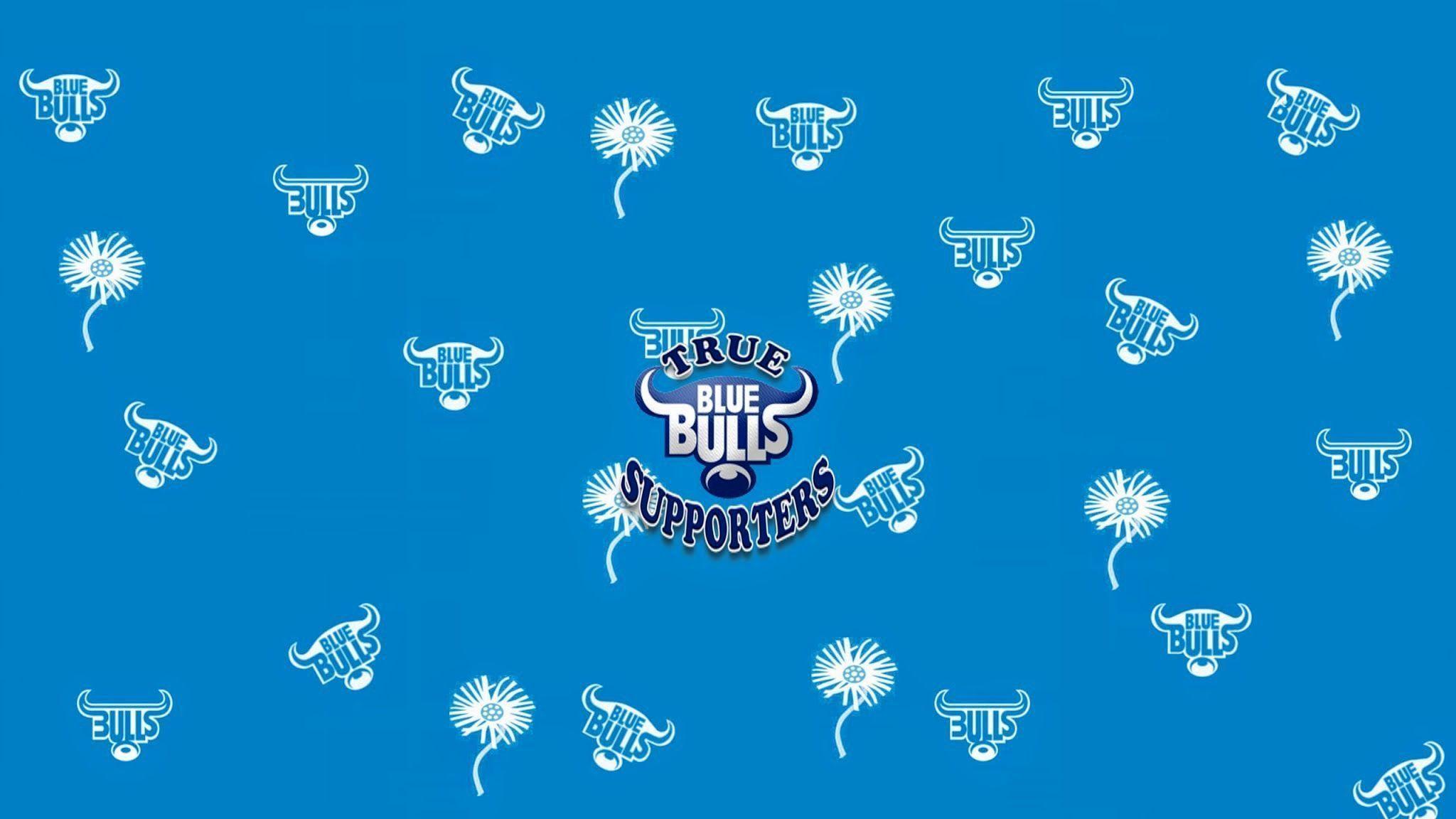 Free Blue Bulls Wallpapers Wallpaper Cave