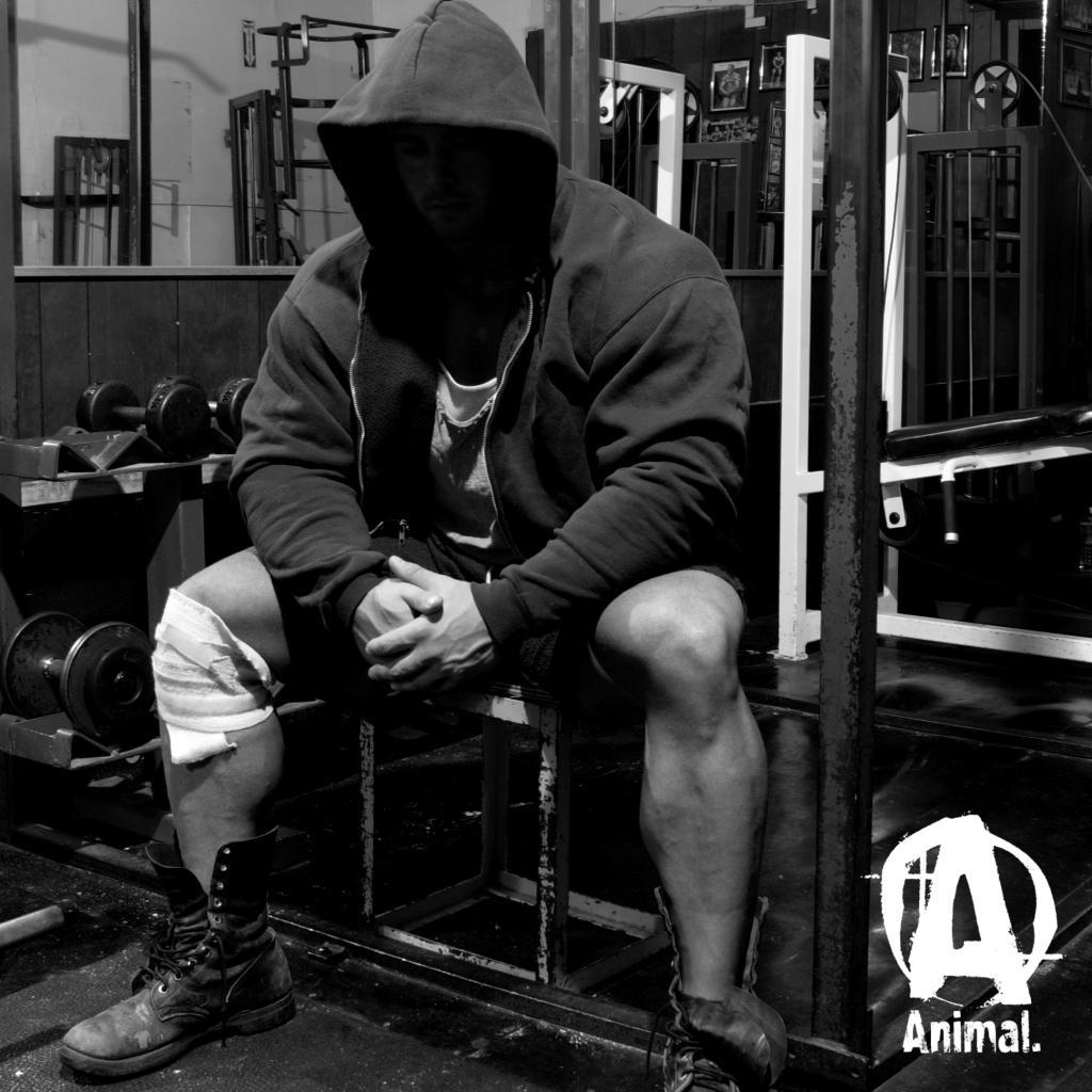 Animal Pak Backgrounds Wallpaper Cave