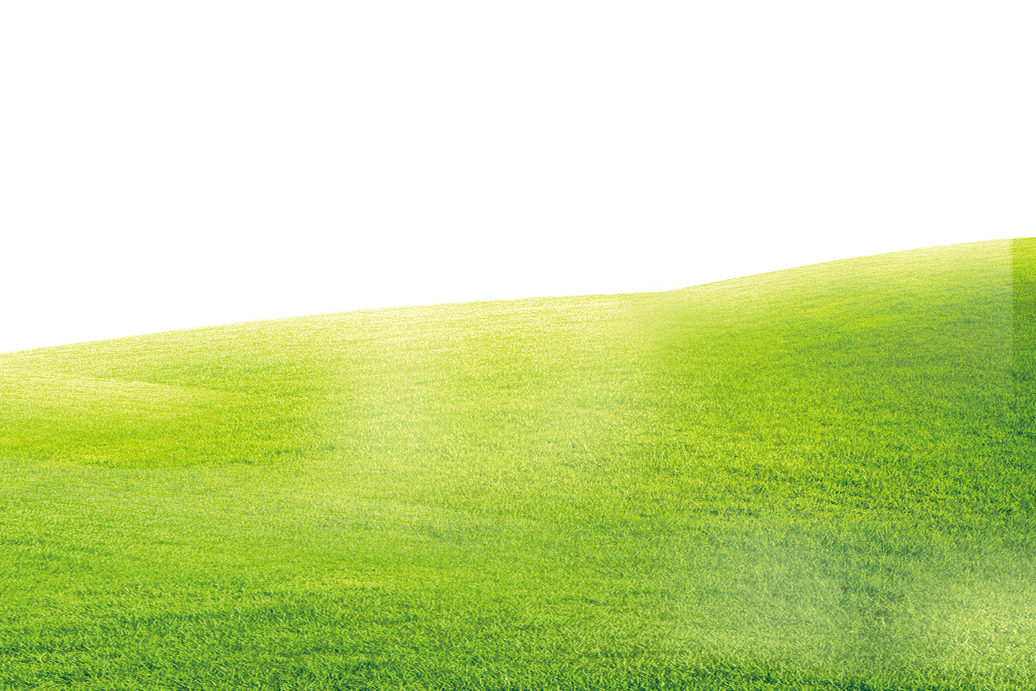 Green Grass Backgrounds Wallpaper Cave