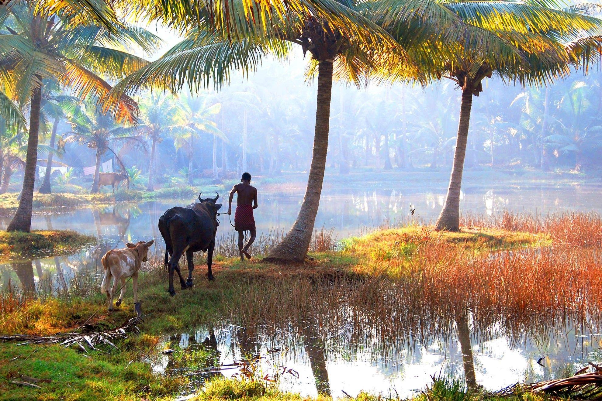 Kerala Gods Own Country Wallpapers Wallpaper Cave