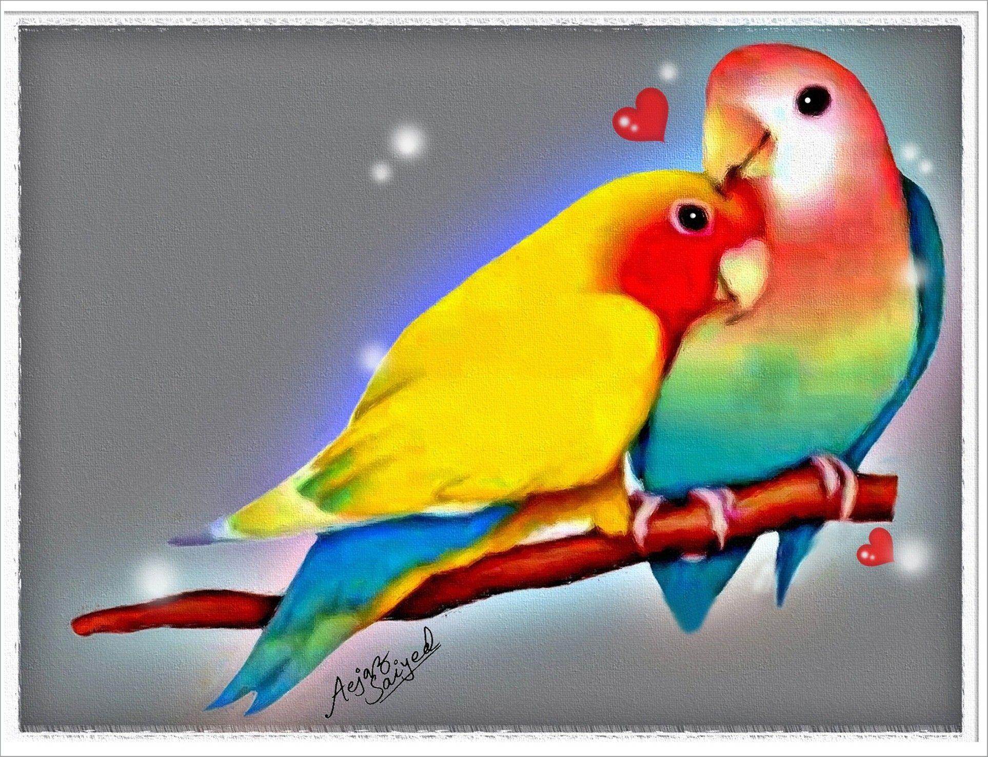 Mobile Phone Wallpapers Love BIRDS Wallpaper Cave