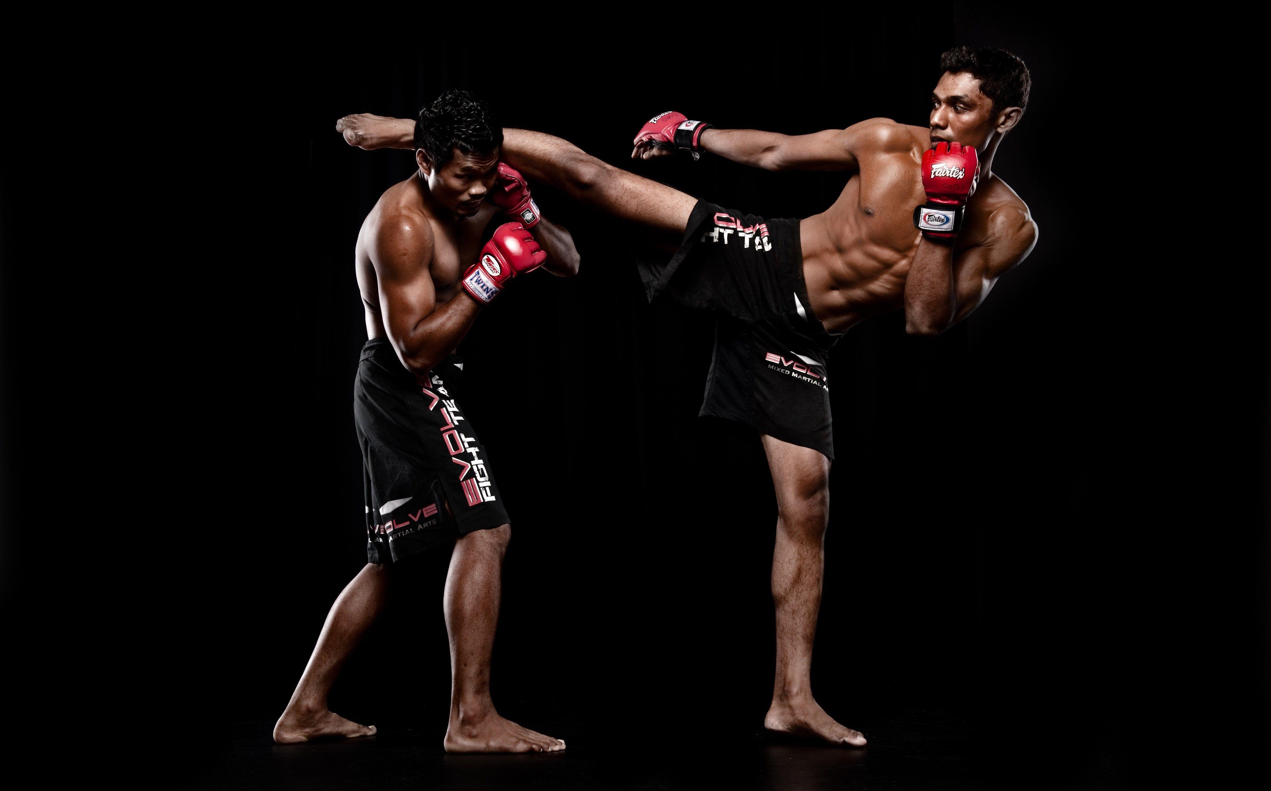 Mma Fight Wallpapers - Wallpaper Cave