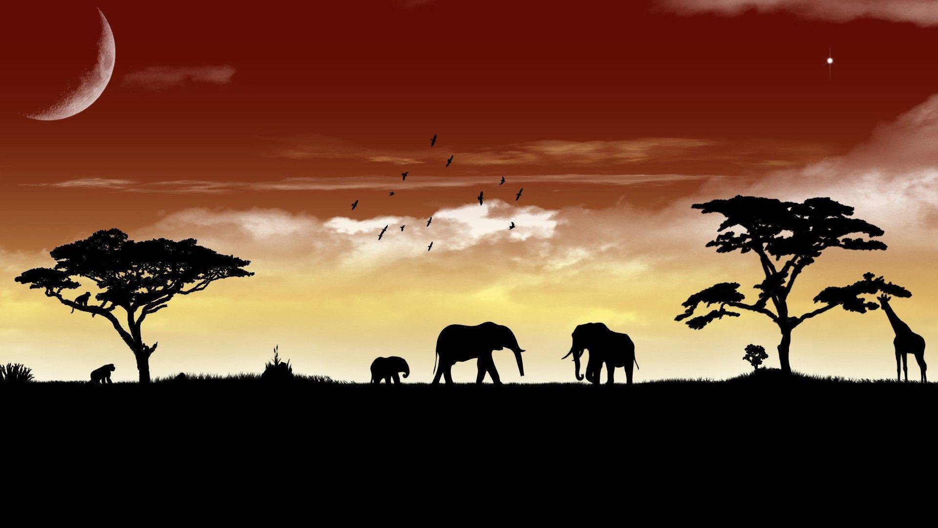 African Culture Wallpapers Wallpaper Cave