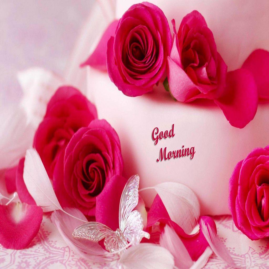 Cute Good Morning Wallpapers Wallpaper Cave