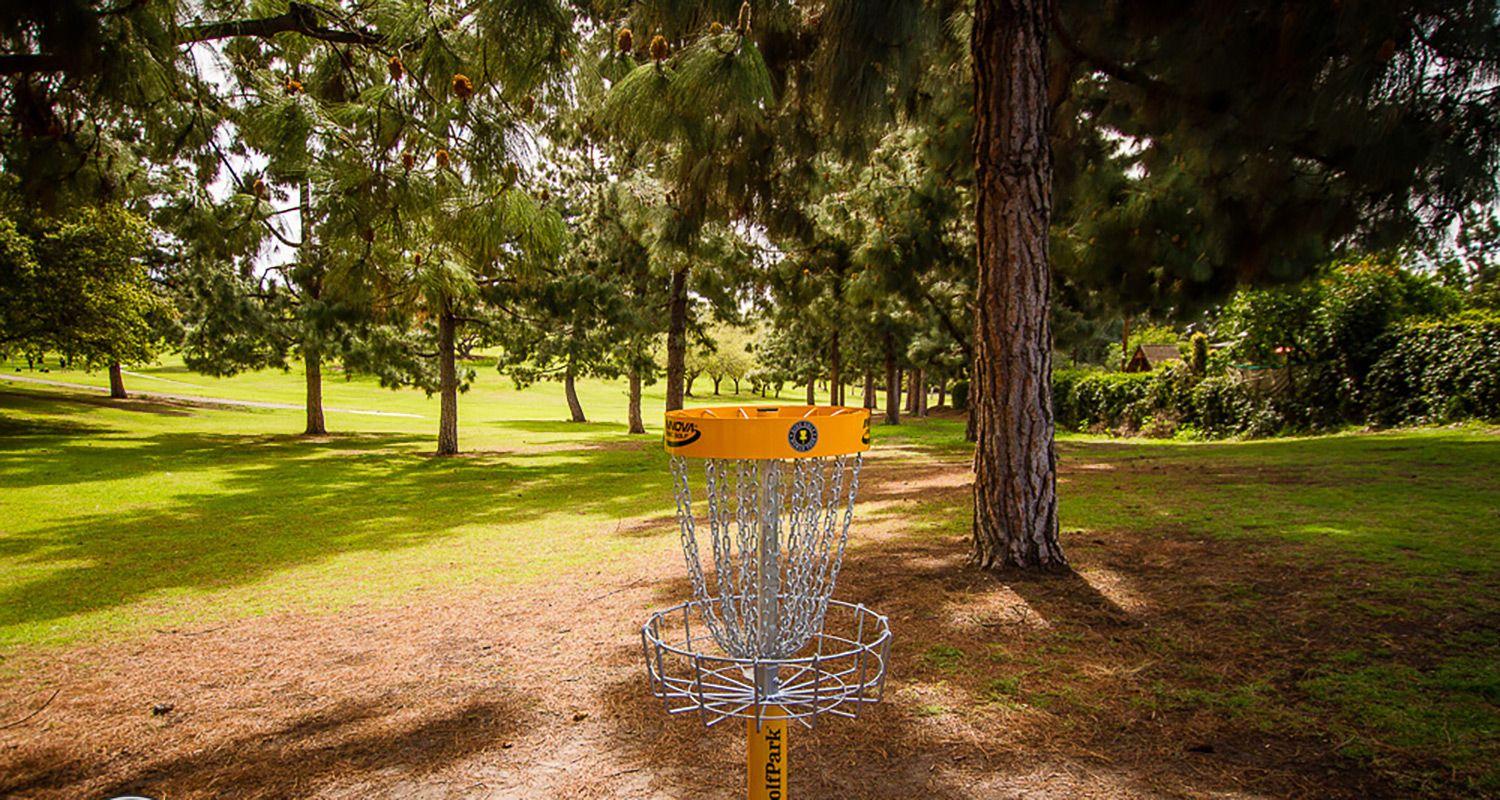 Disc Golf Wallpapers Wallpaper Cave