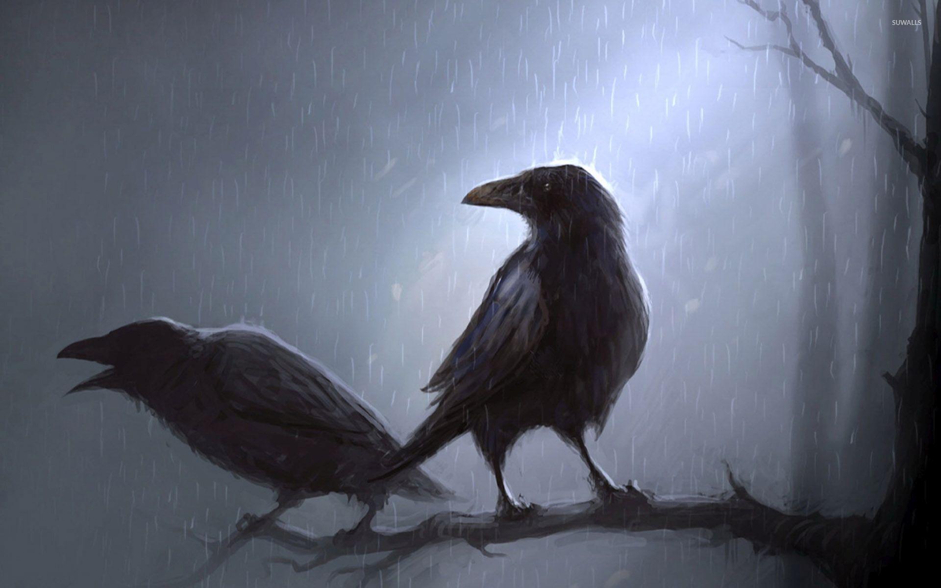 Crows Wallpapers Wallpaper Cave