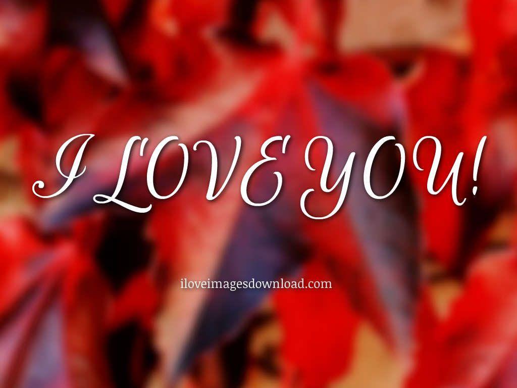 I Love You So Much Wallpapers Wallpaper Cave