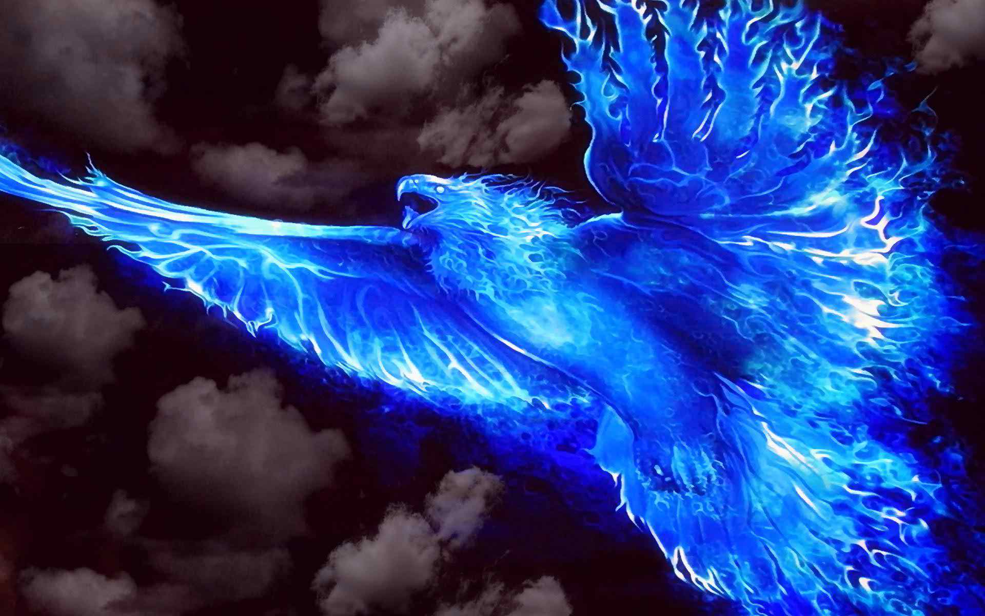Blue Fire Dragon Wallpapers Wallpaper Cave