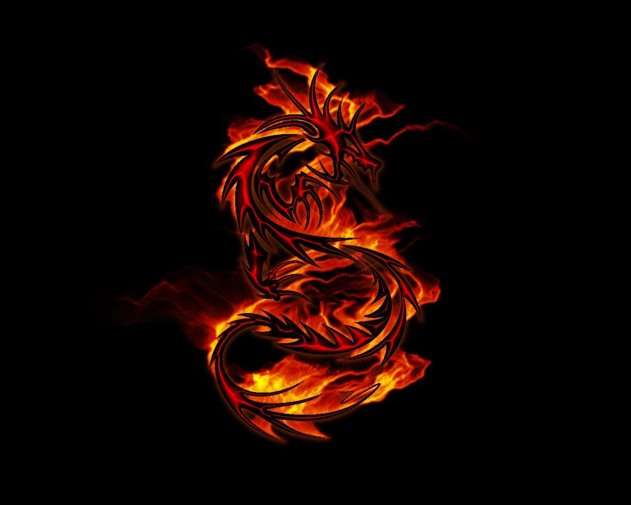Blue Fire Dragon Wallpapers Wallpaper Cave