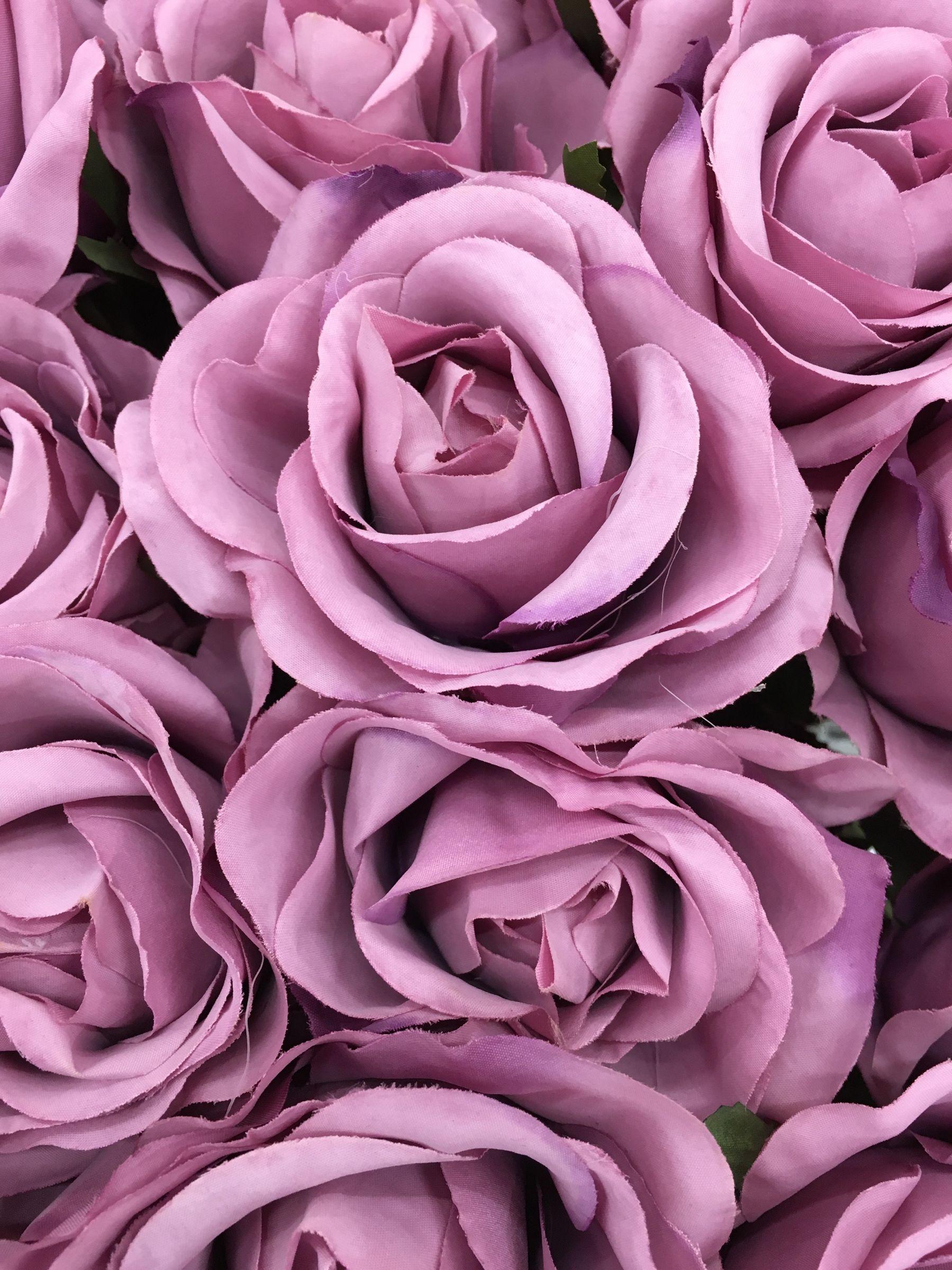 Purple Rose Flower Wallpapers Wallpaper Cave