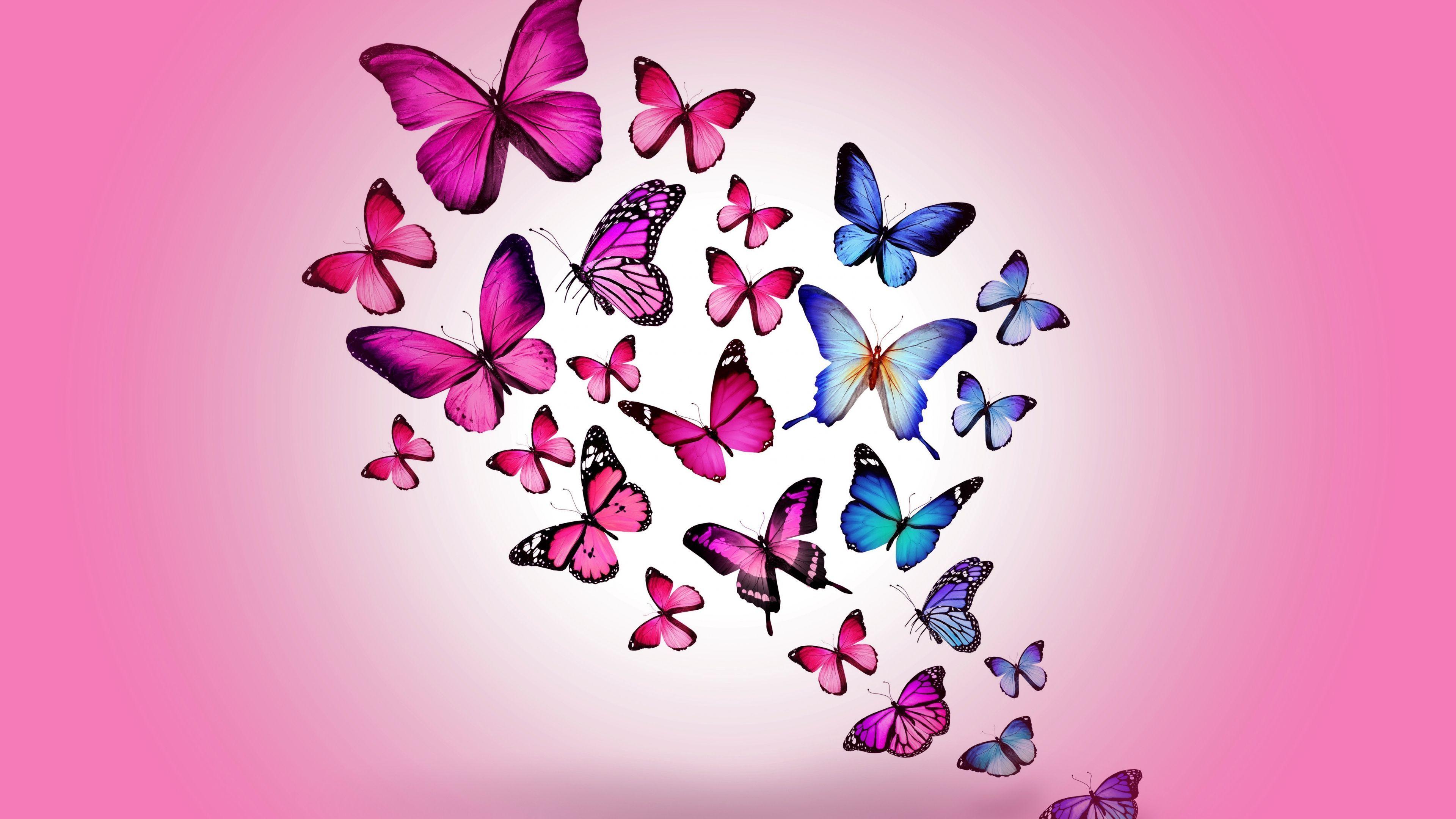 Pink Butterfly Wallpapers Desktop Wallpaper Cave
