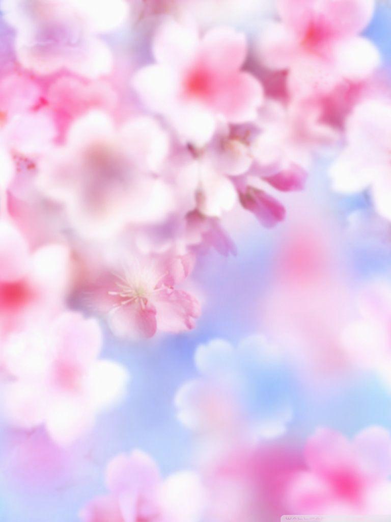 New HD Pink Mobile Wallpapers Wallpaper Cave