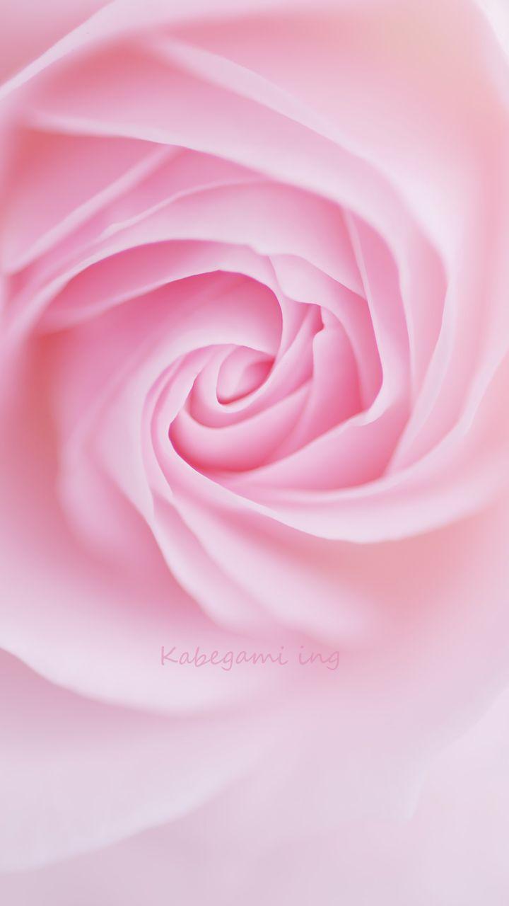 New HD Pink Mobile Wallpapers Wallpaper Cave