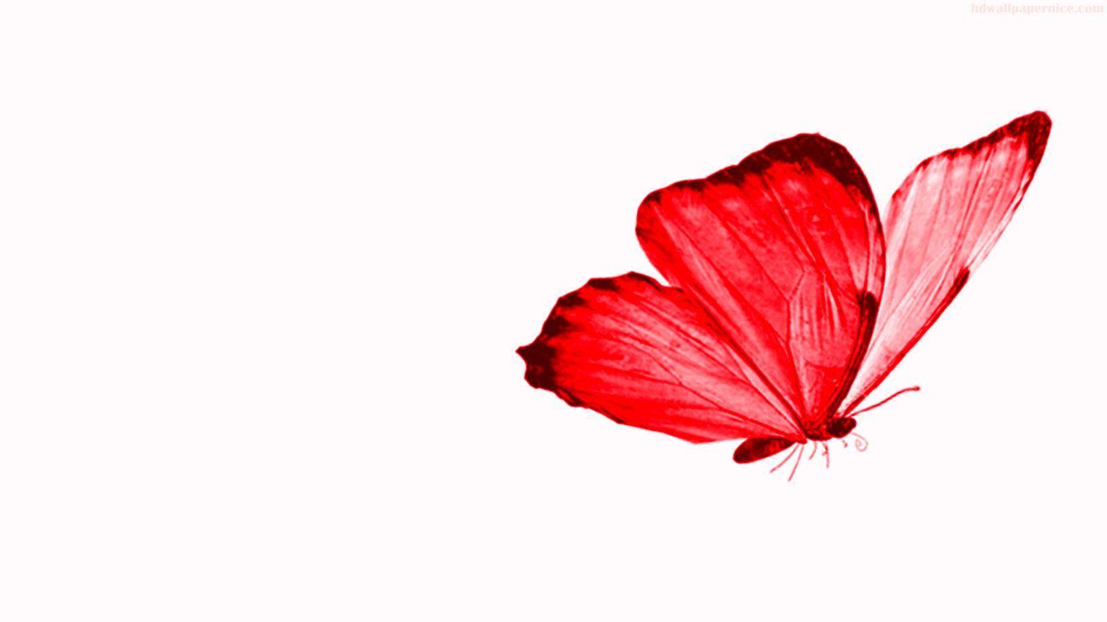Red Butterfly HD Wallpapers Wallpaper Cave