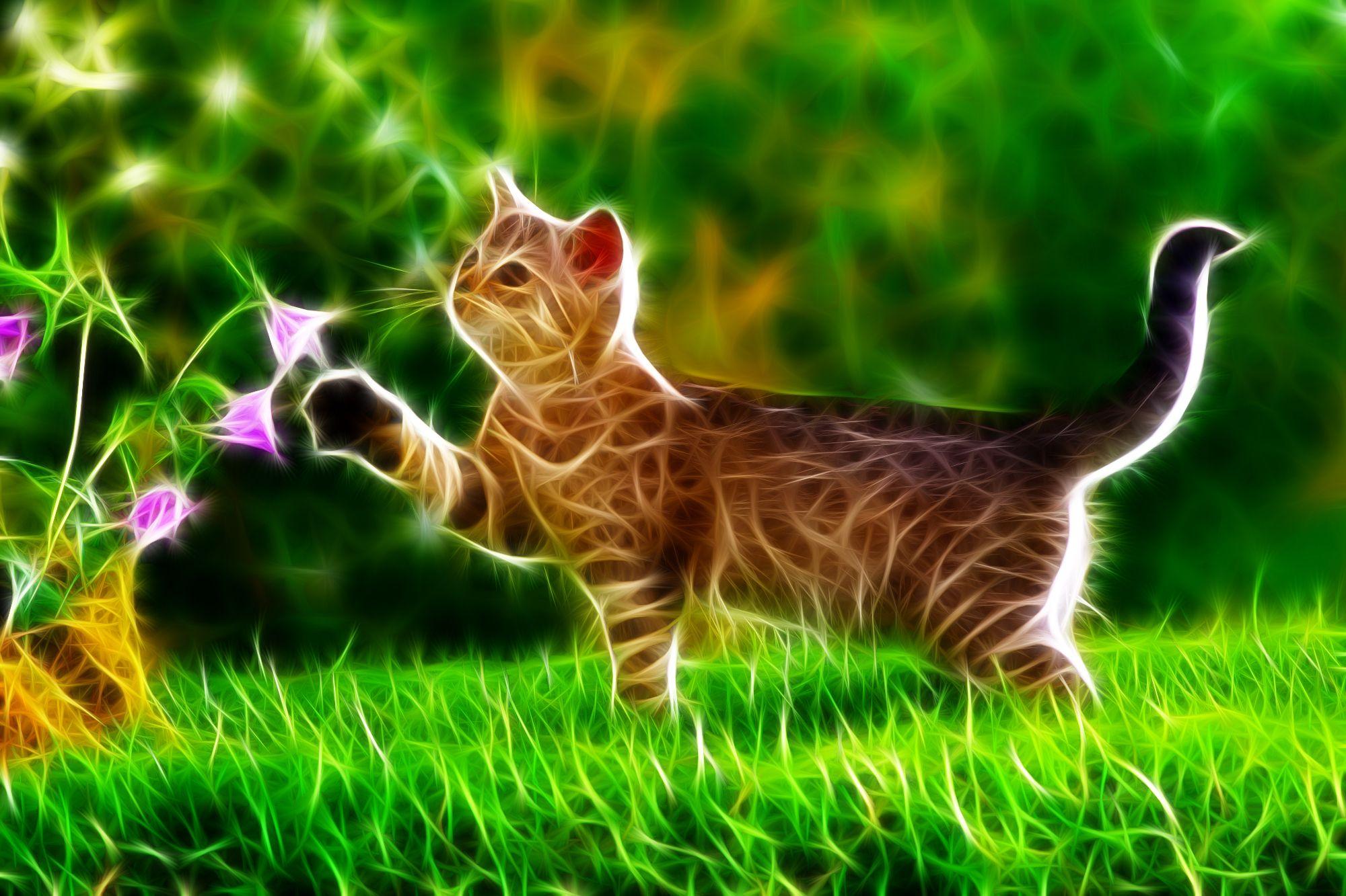 Cats 3D Wallpapers Wallpaper Cave