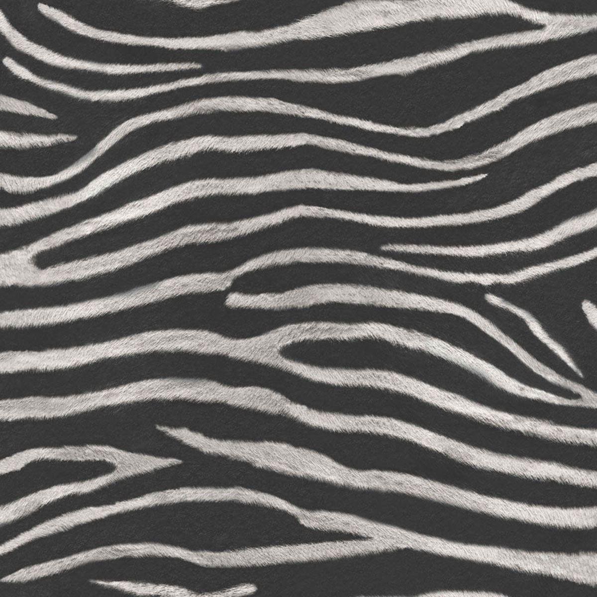 Black Zebra Print Wallpapers Wallpaper Cave