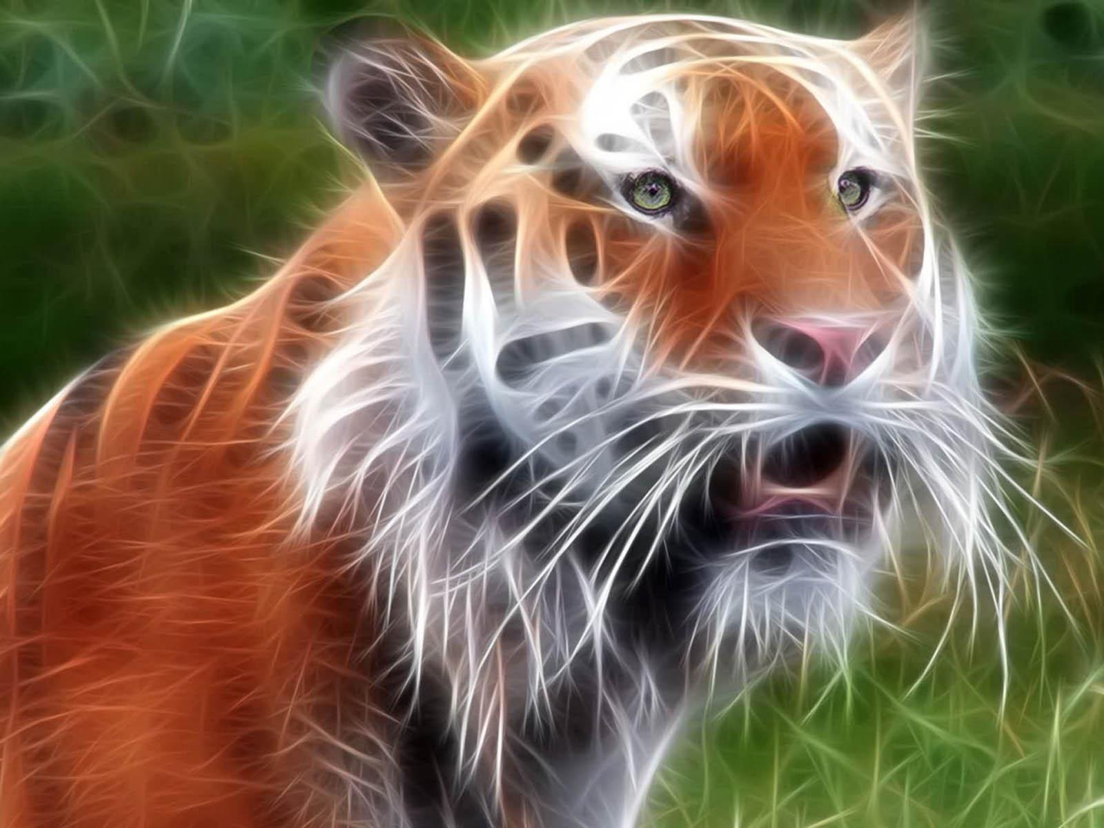 Best 3D Tiger Wallpapers For Desktop Wallpaper Cave