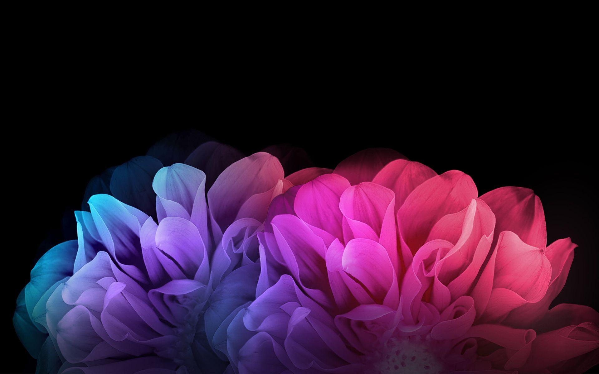 Wallpapers Dark Flower Wallpaper Cave