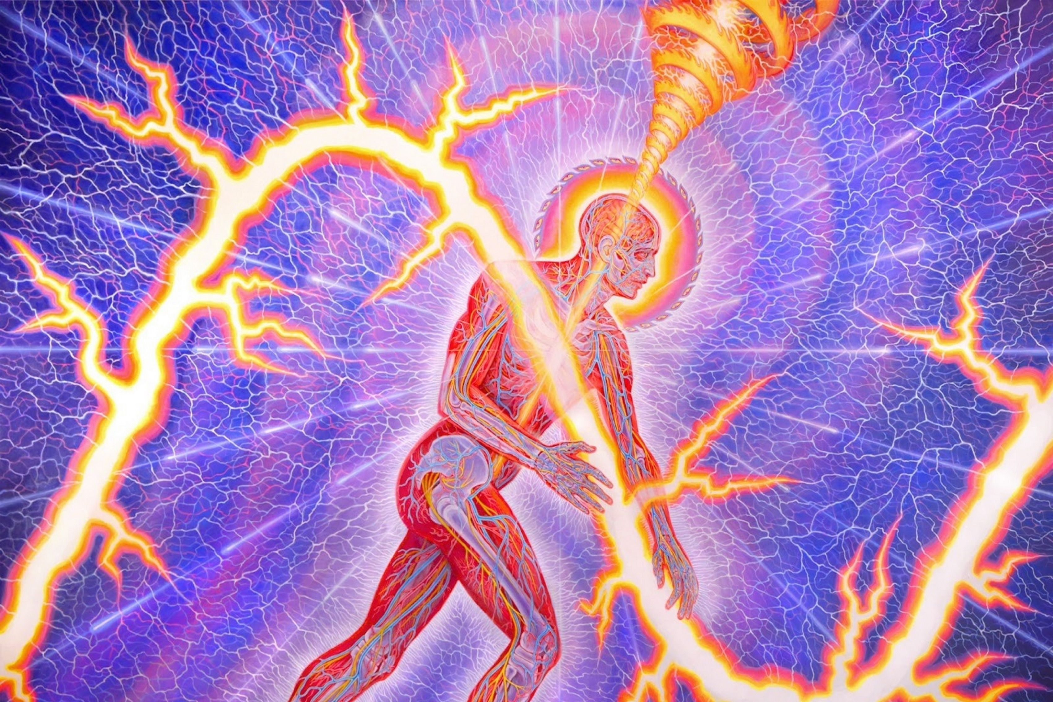 Alex Grey Art Wallpapers HD Wallpaper Cave
