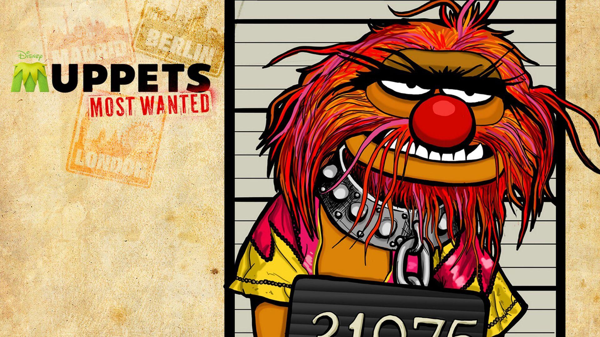 Animal Muppets Wallpapers Wallpaper Cave
