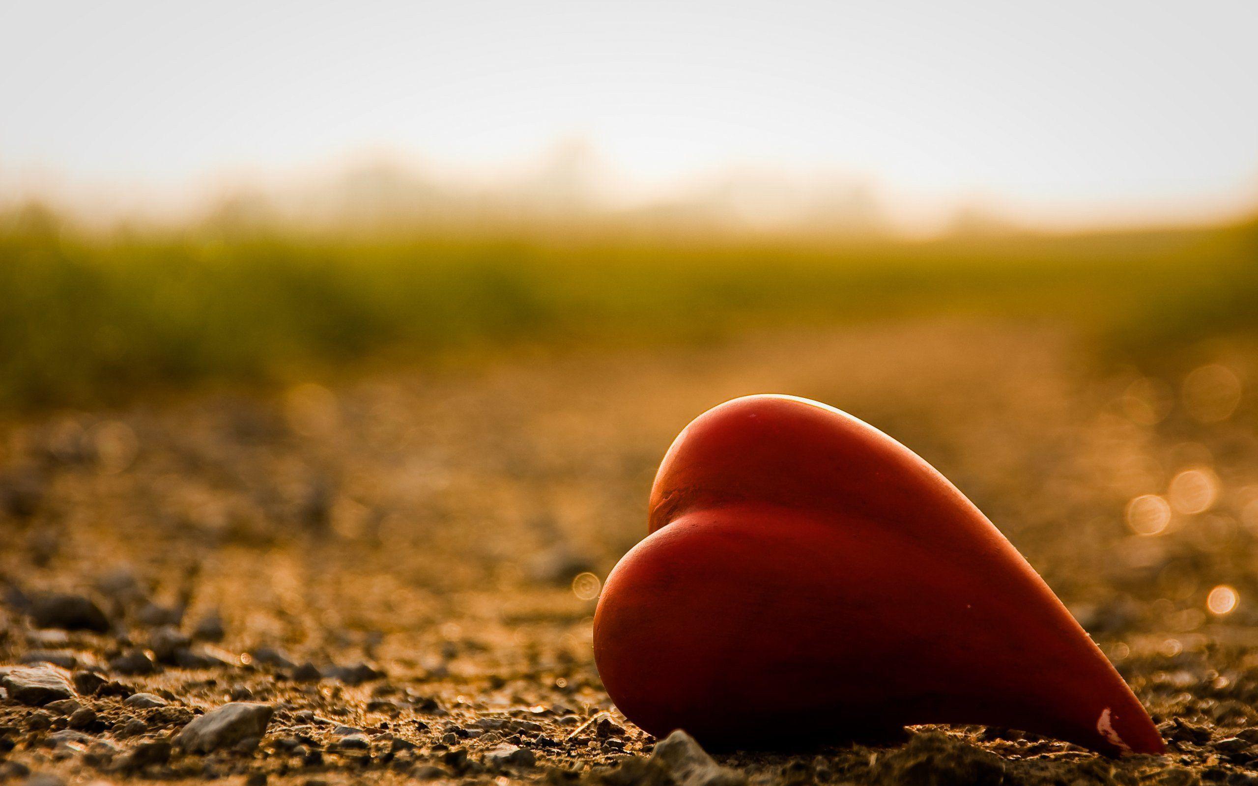 HD Heart Touching Background Images Wallpaper Cave