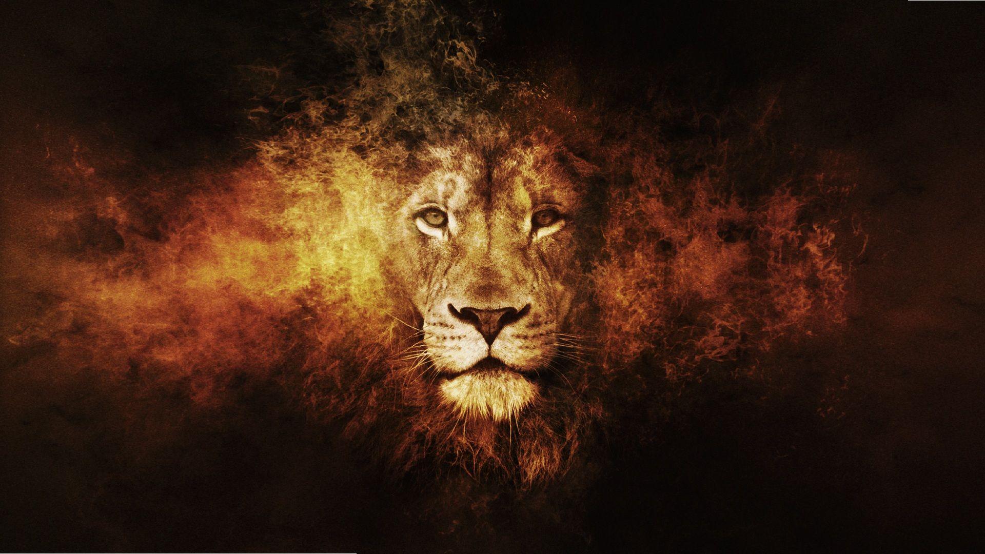 Lion Abstract Wallpapers Wallpaper Cave