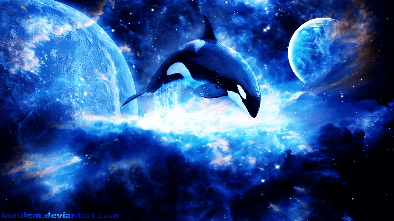 Killer Whales Wallpapers Wallpaper Cave