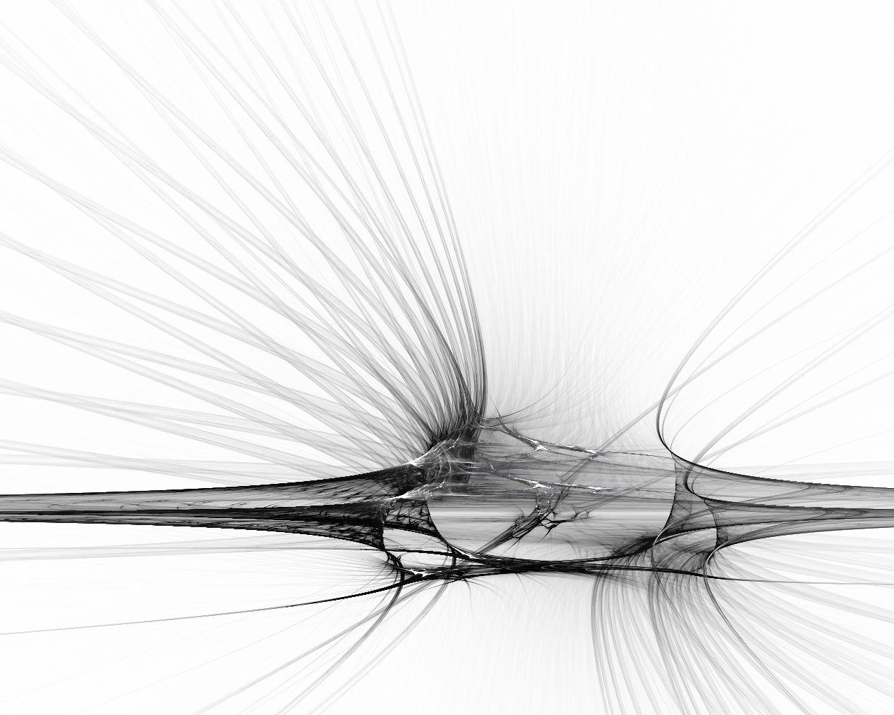 White Colour HD Wallpapers Wallpaper Cave