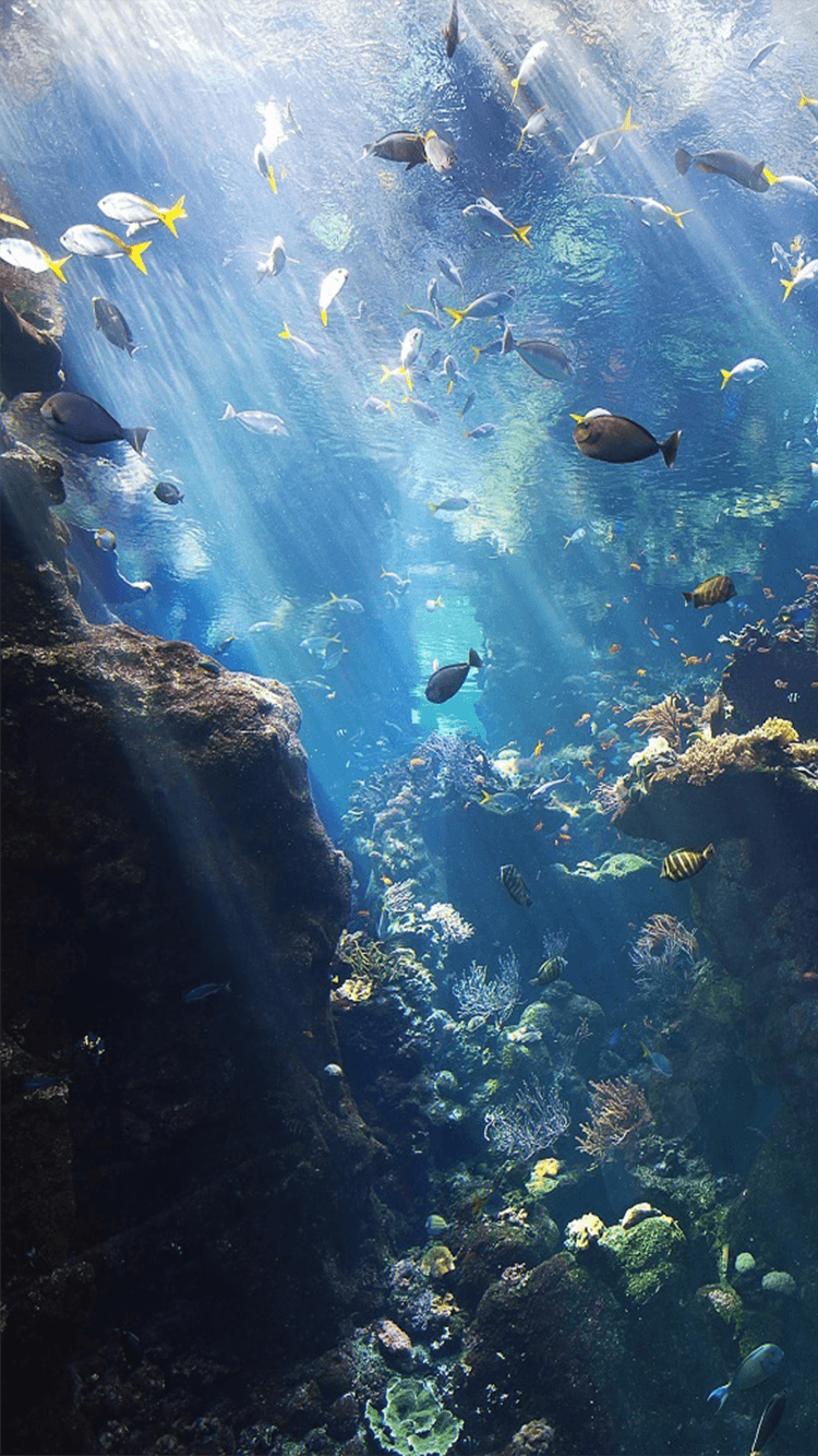 Underwater Tumblr Backgrounds Wallpaper Cave