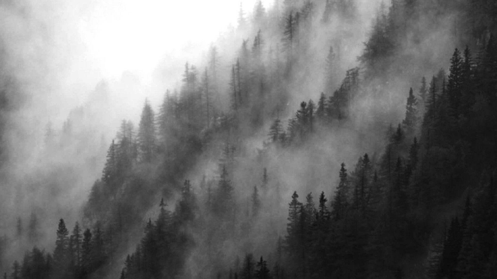 Norwegian Black Metal Wallpapers Wallpaper Cave