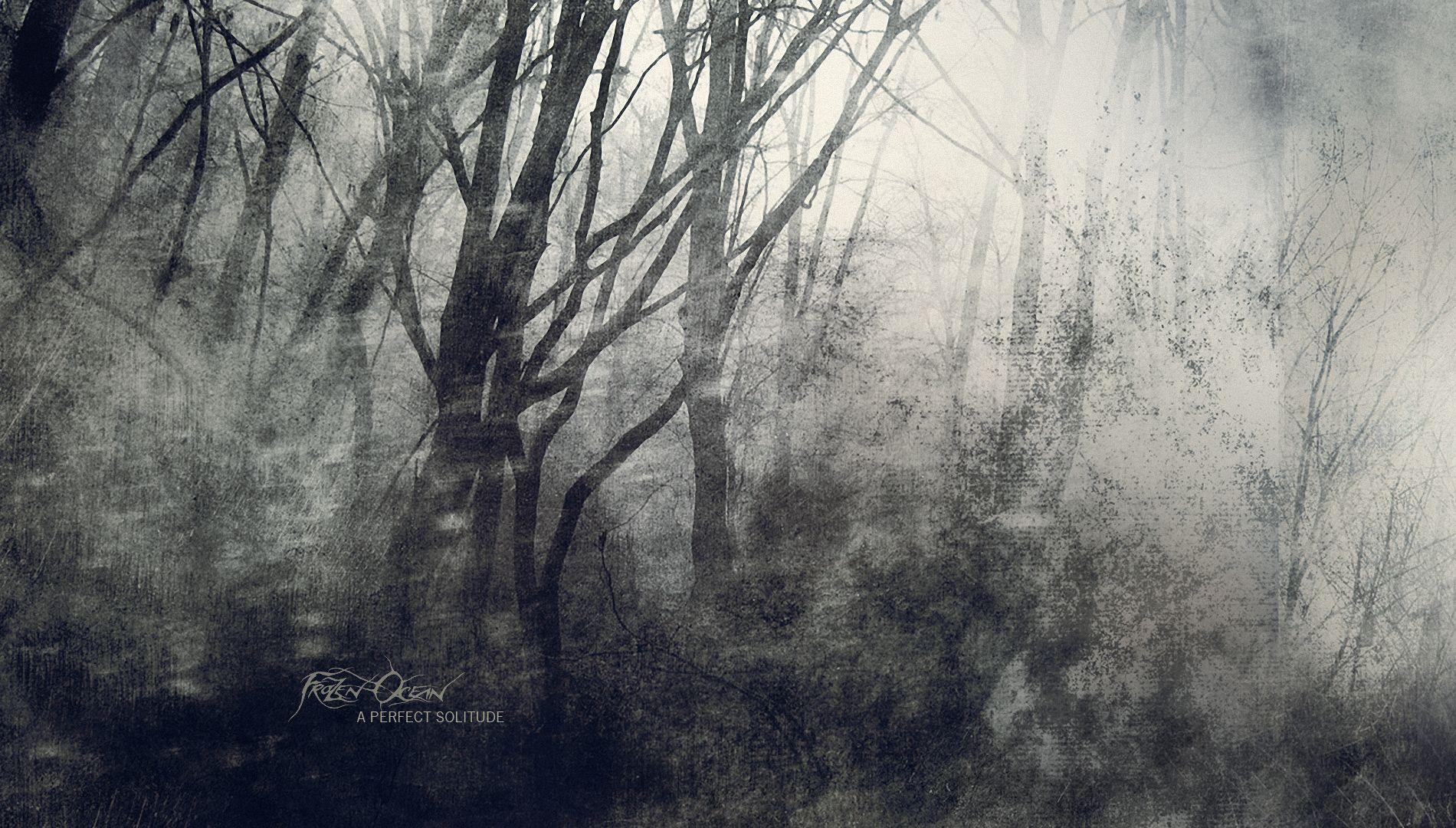 Black Metal Forest Wallpaper