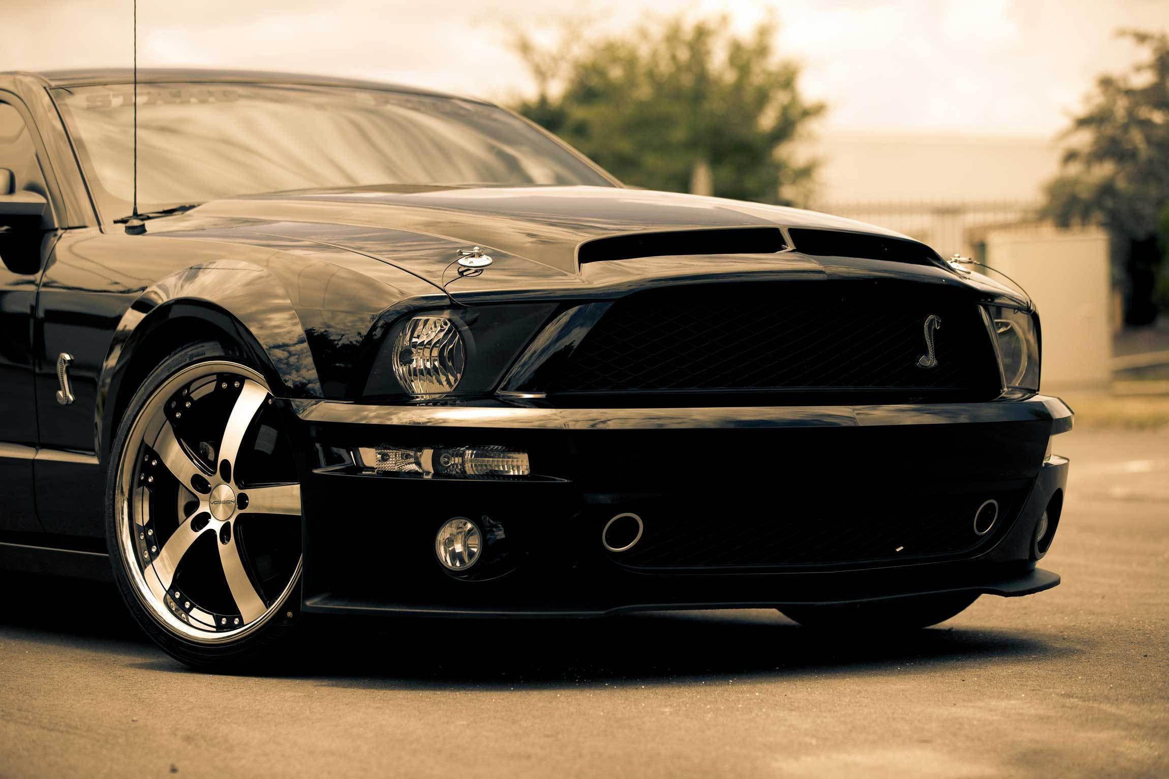 Black Mustang Wallpapers HD Wallpaper Cave
